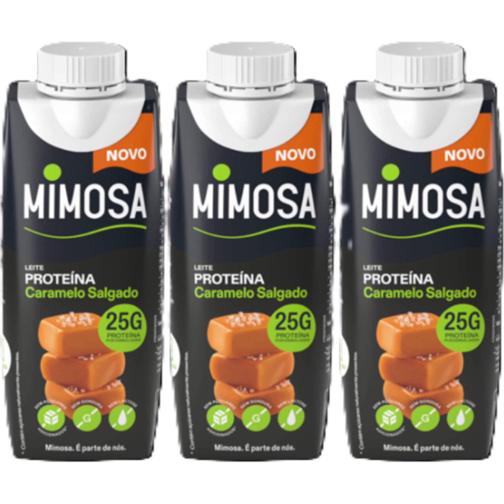 Leite de Prote&iacute;na com Caramelo Salgado Mimosa