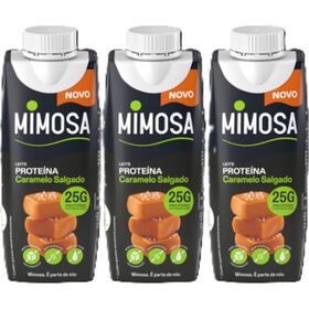 Leite de Prote&iacute;na com Caramelo Salgado Mimosa