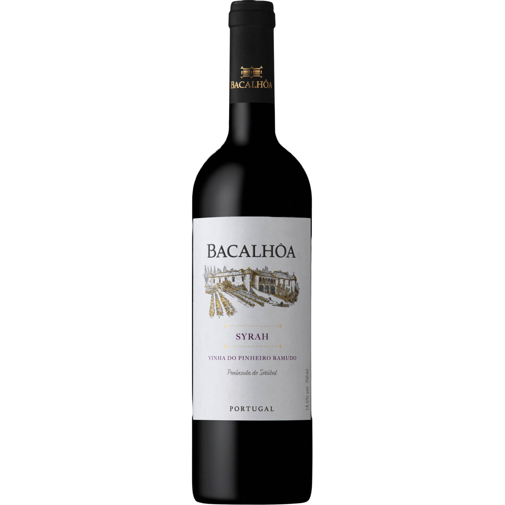 Bacalh&ocirc;a Syrah Pen&iacute;nsula de Set&uacute;bal Vinho Tinto