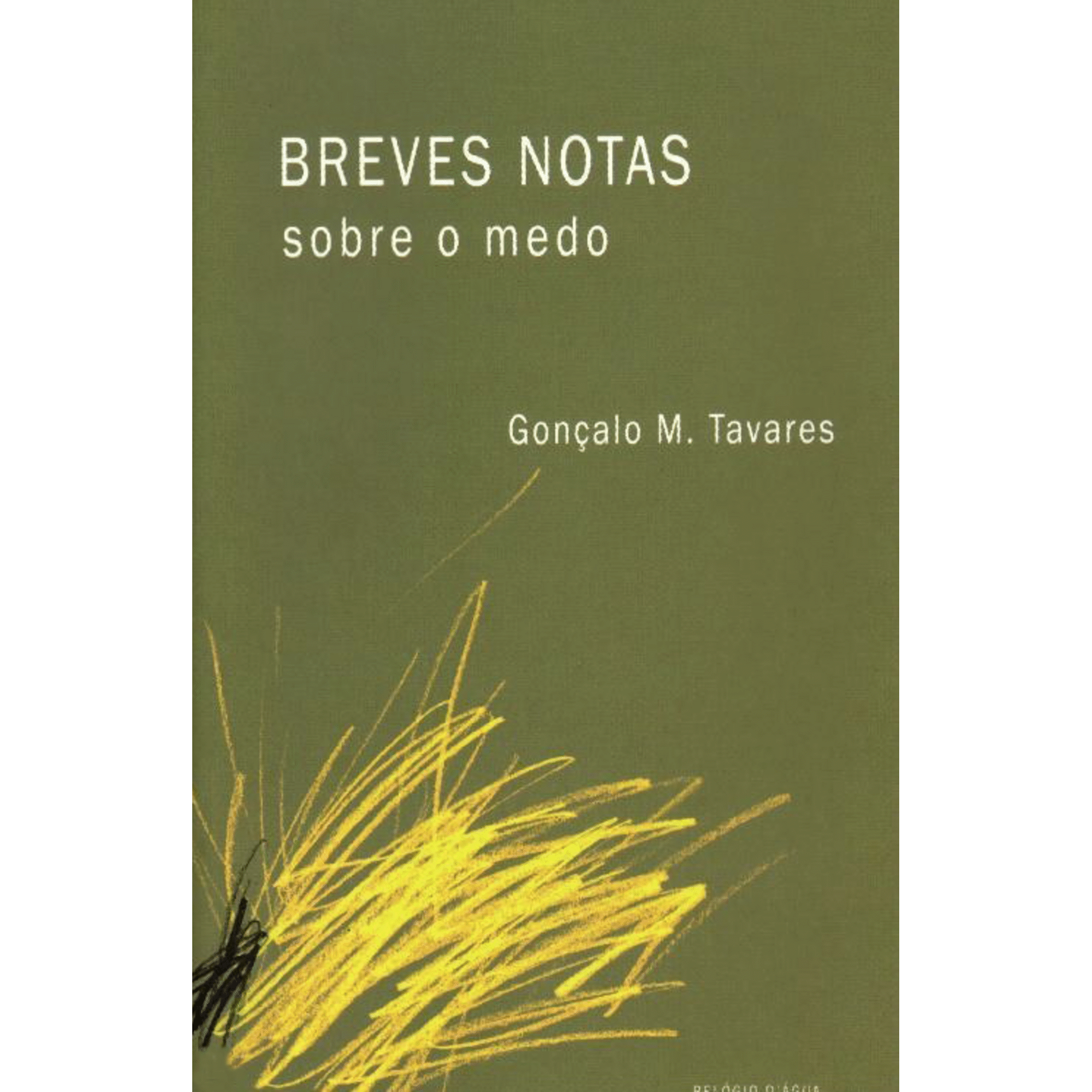 Breves Notas sobre o Medo de Gon&ccedil;alo M. Tavares, , ${viewtype