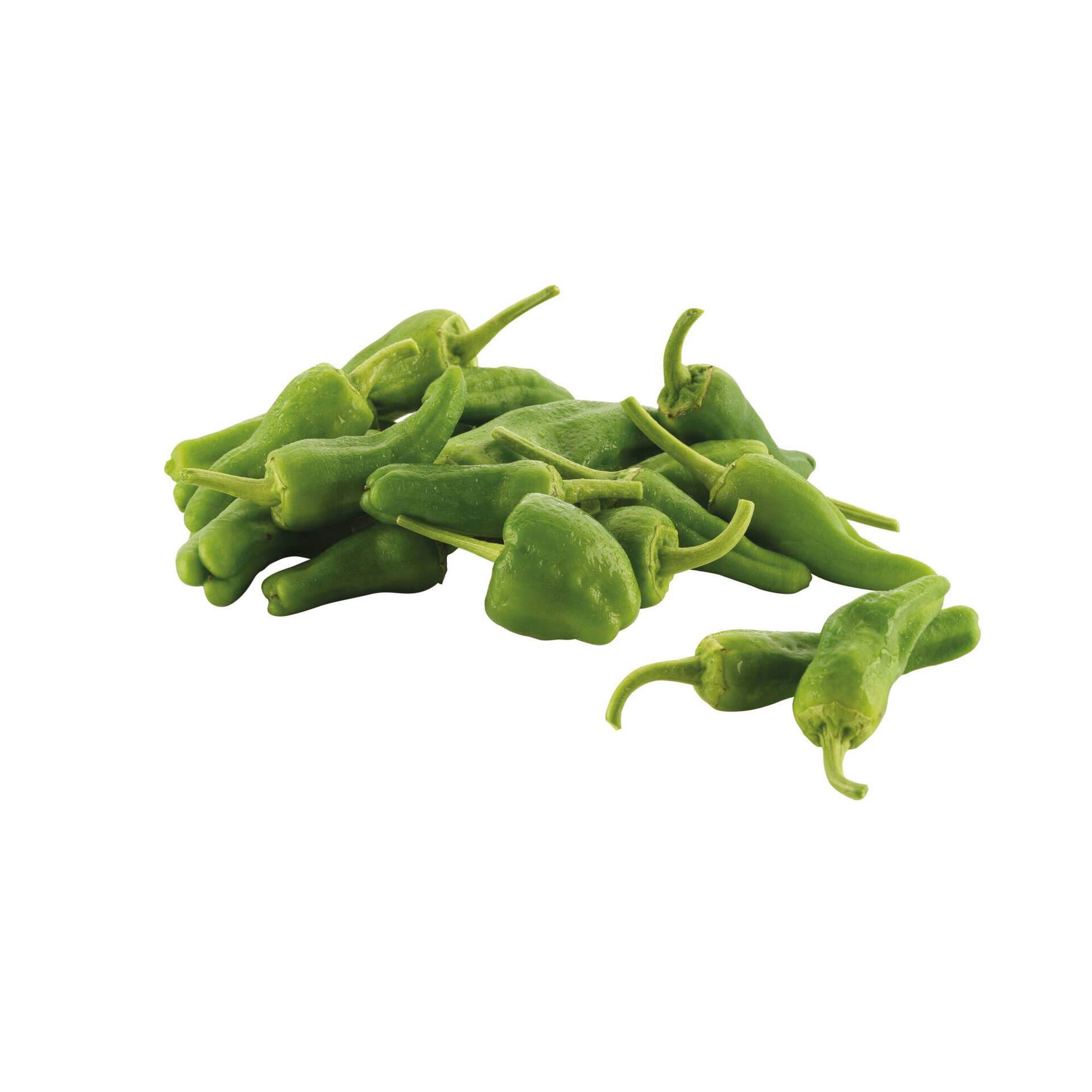 Pimento Padr&atilde;o Continente