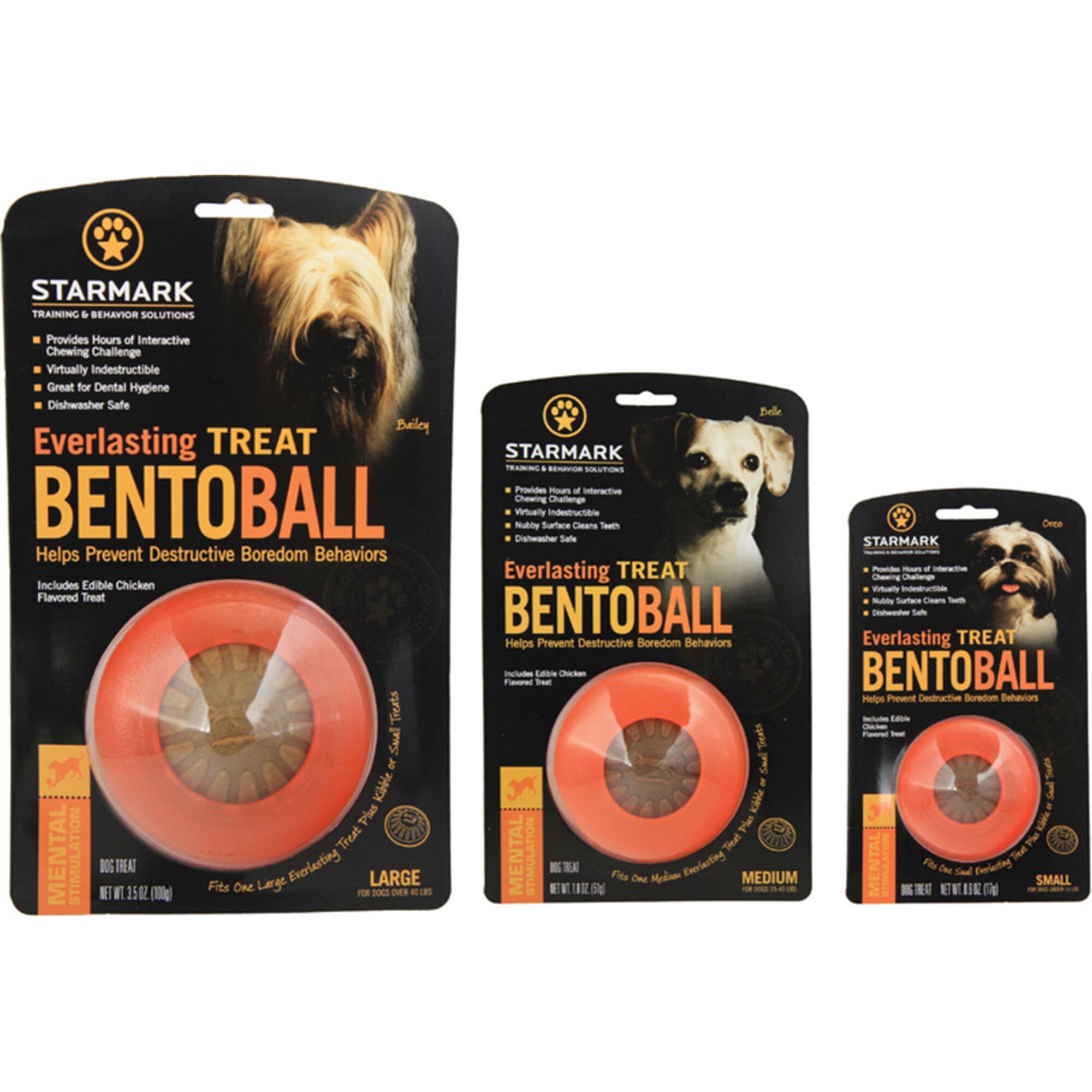 Brinquedo para Cão Bola Everlasting Bento S Brinquedo para Cão Bola Everlasting Bento S