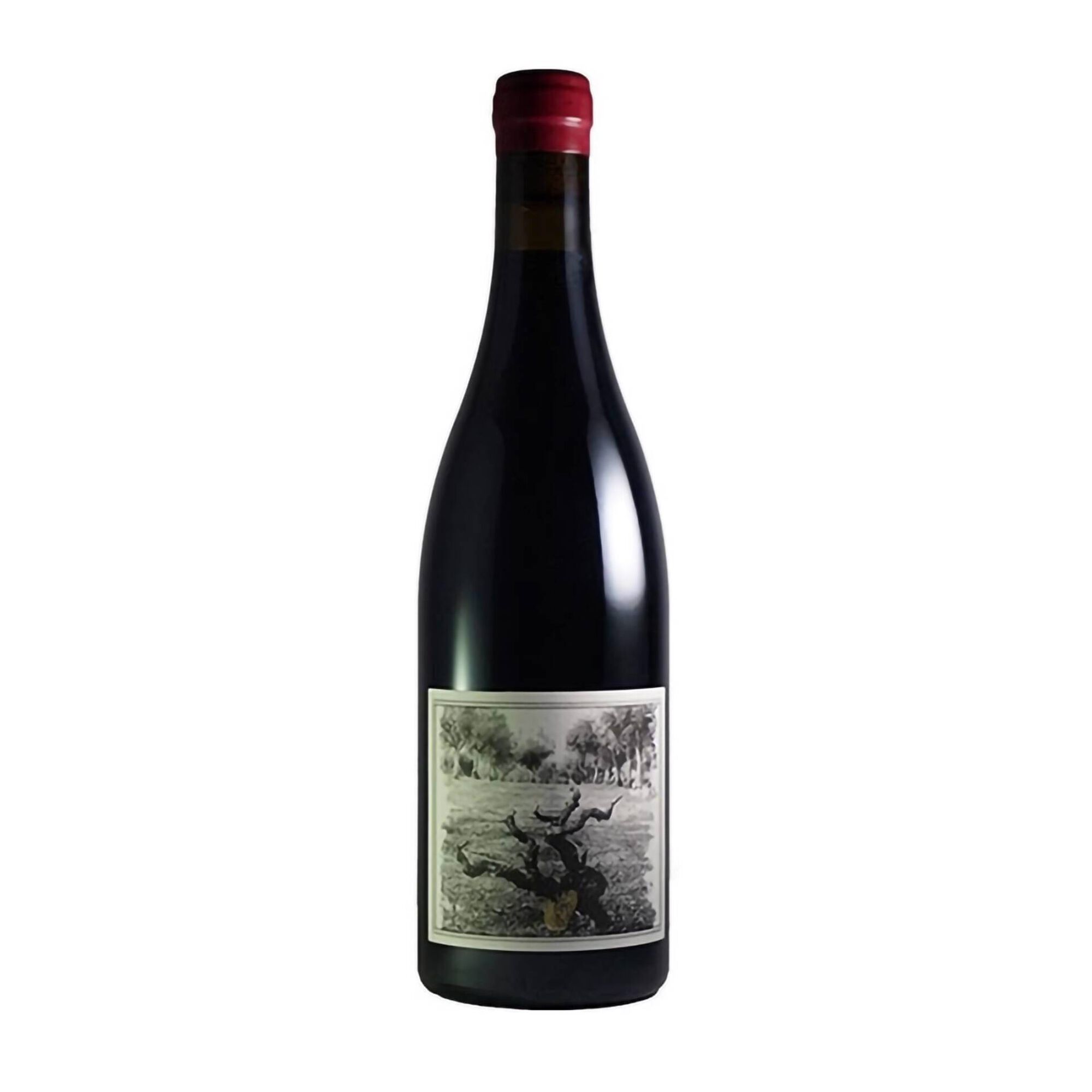 Quinta da Pellada Muleta Dão Vinho Tinto
