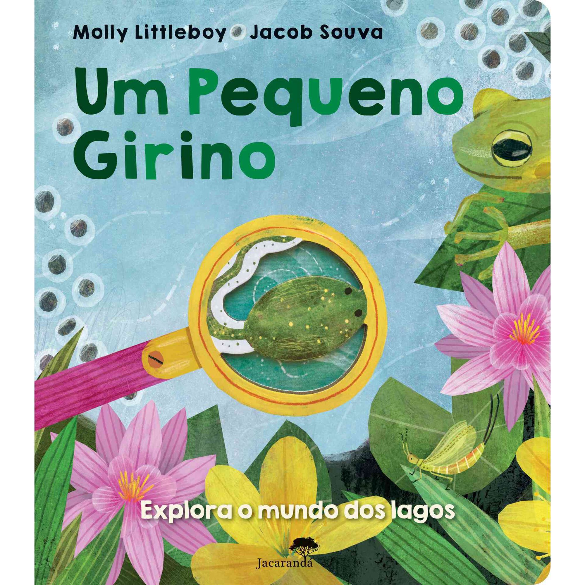 Um Pequeno Girino