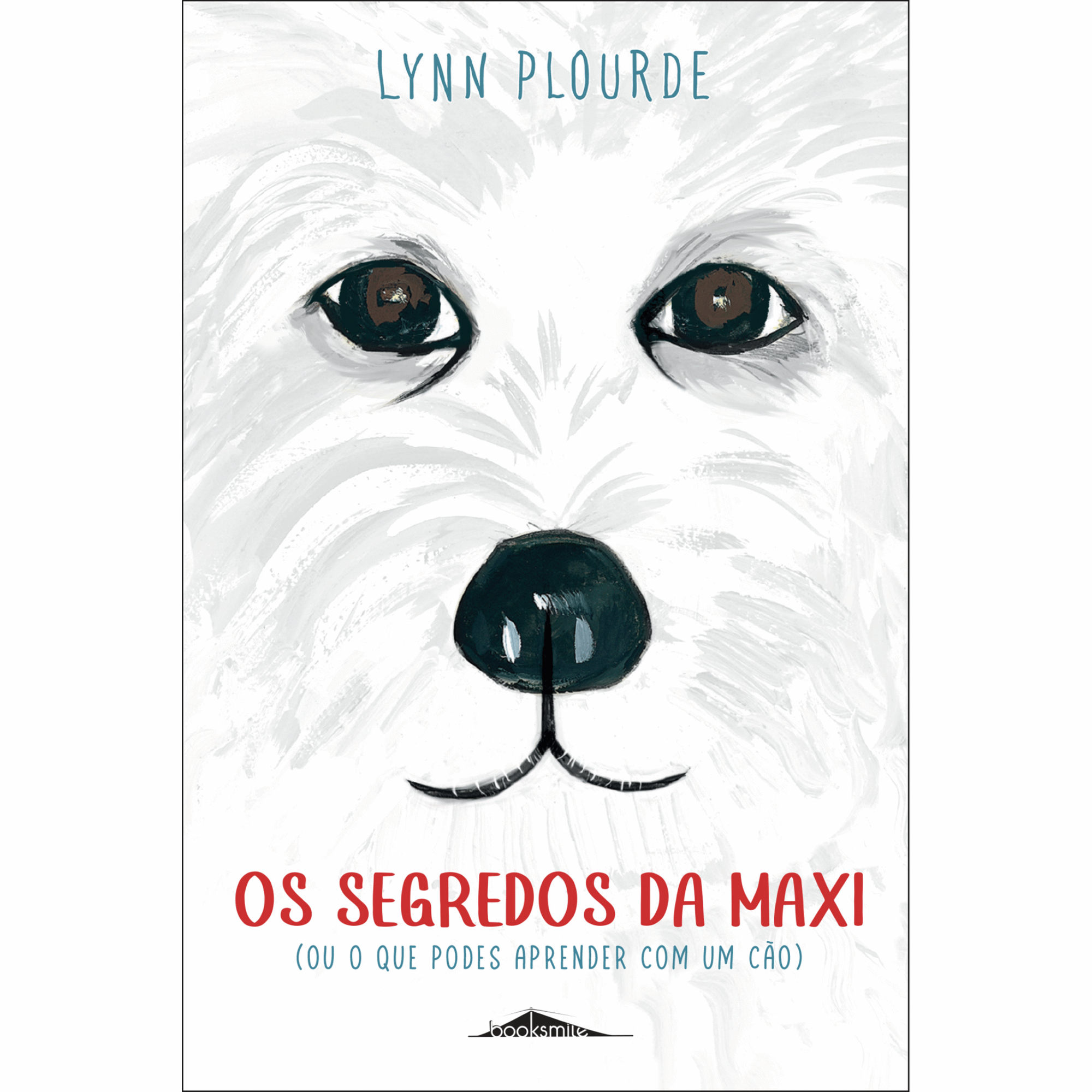 Os Segredos da Maxi
