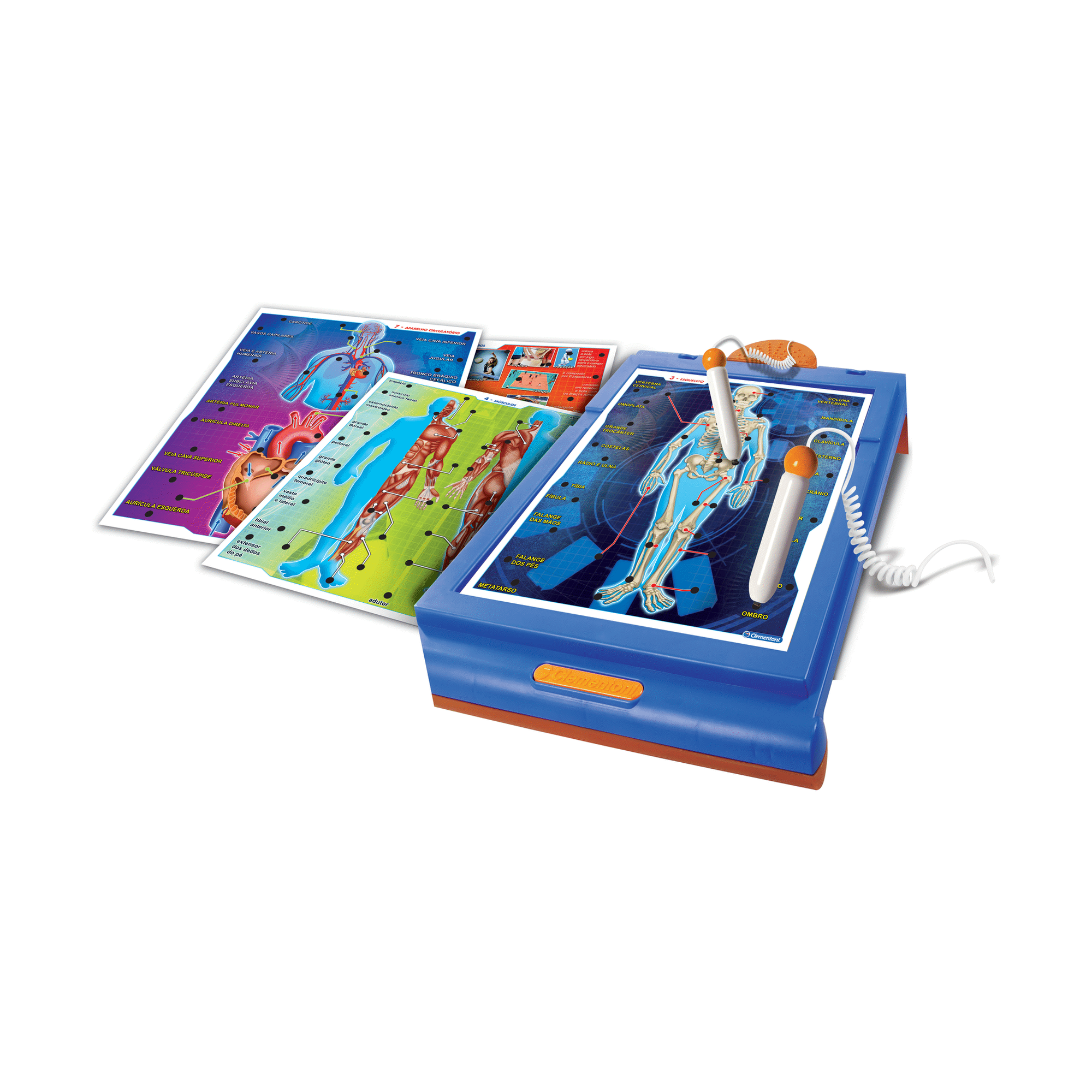 Enciclopédia - Corpo Humano e Desporto