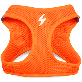 Peitoral para C&atilde;o Laranja Neon XL Dashi