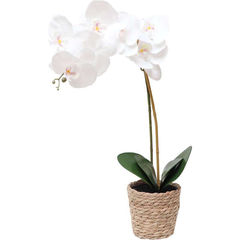 Vaso Seagrass com Orquídea Artificial Branca Kasa
