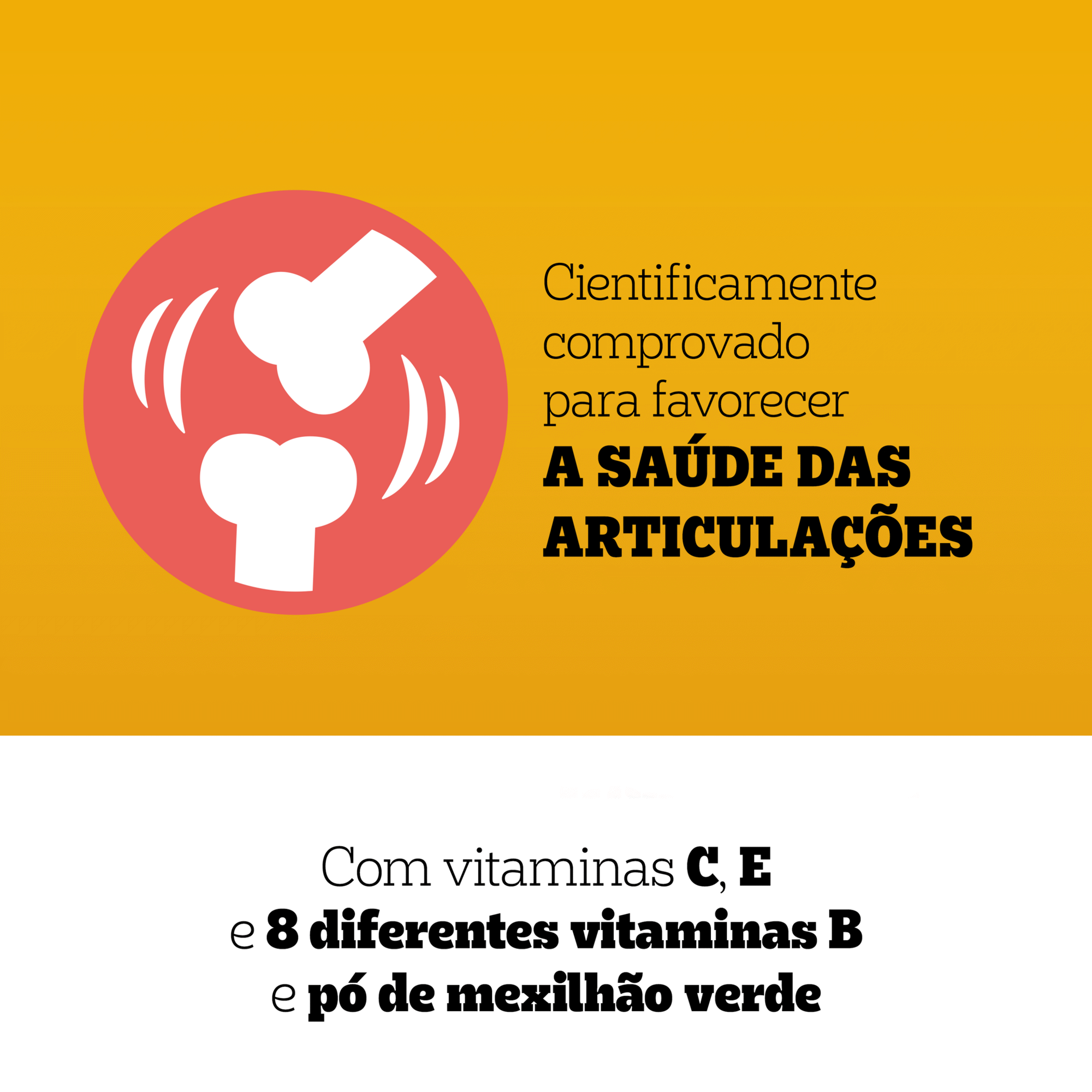 Snack para C&atilde;o Multivitaminas Articula&ccedil;&otilde;es