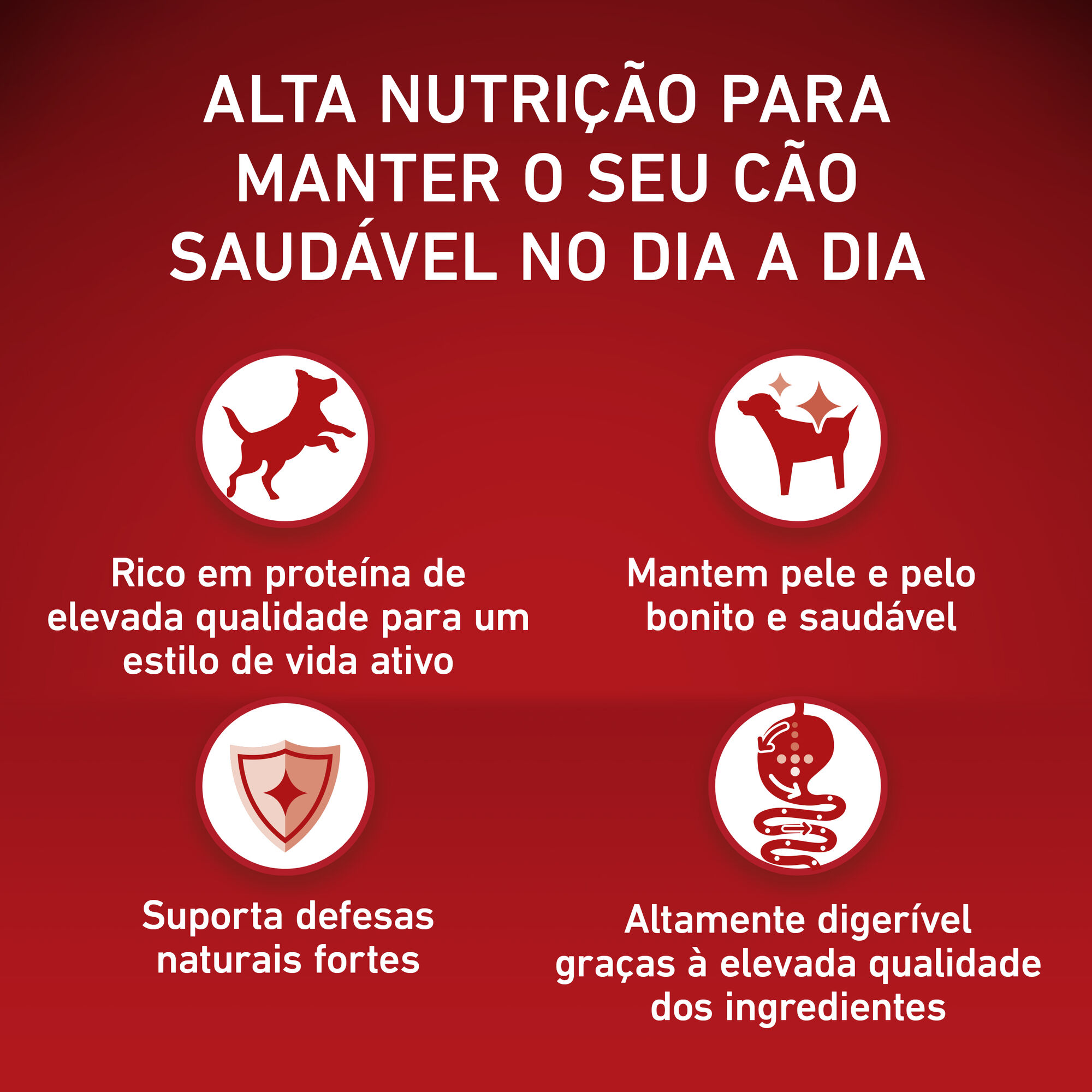 Ra&ccedil;&atilde;o para C&atilde;o J&uacute;nior M&eacute;dio e Maxi Frango e Arroz Purina One