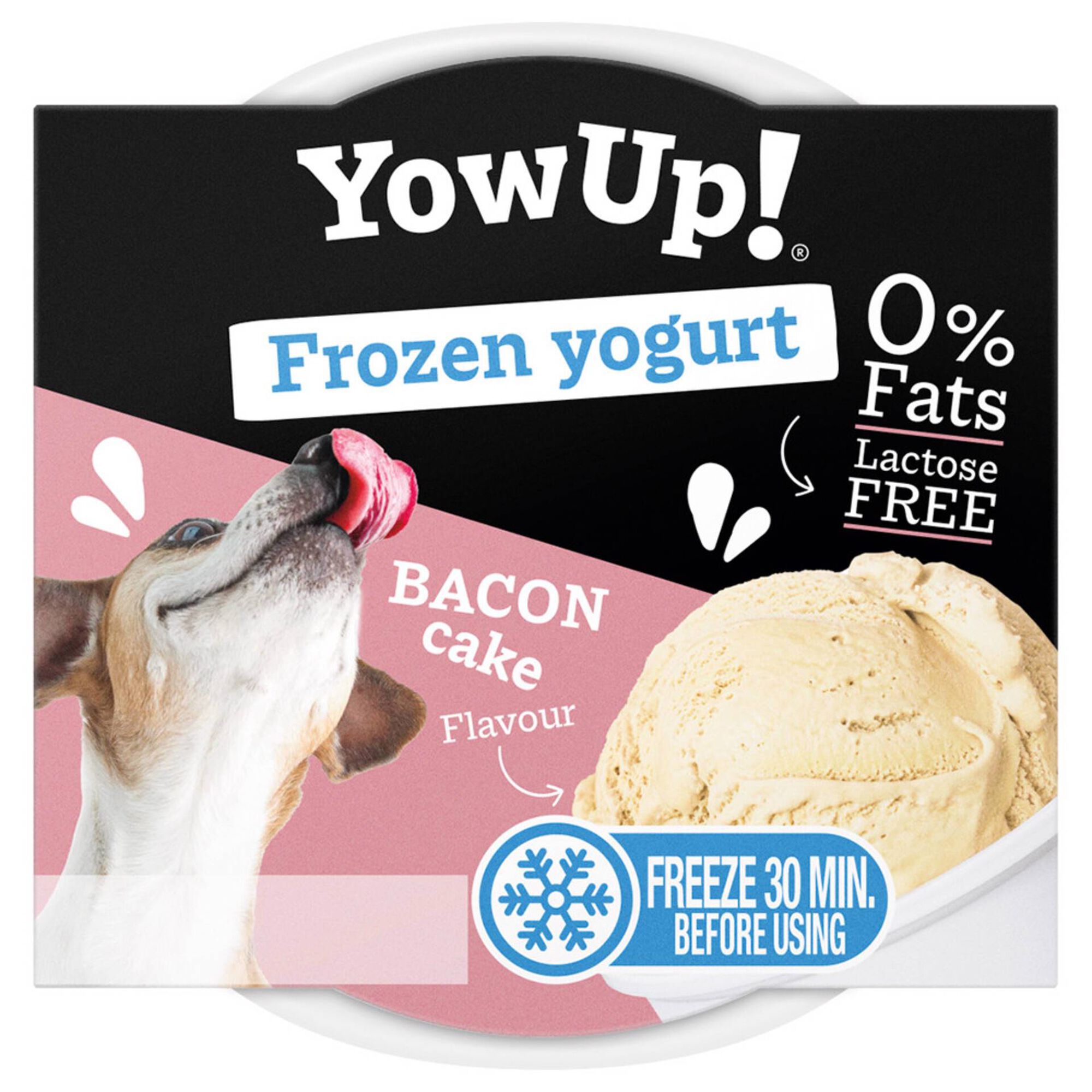 Iogurte Congelado para Cão Bacon Cake
