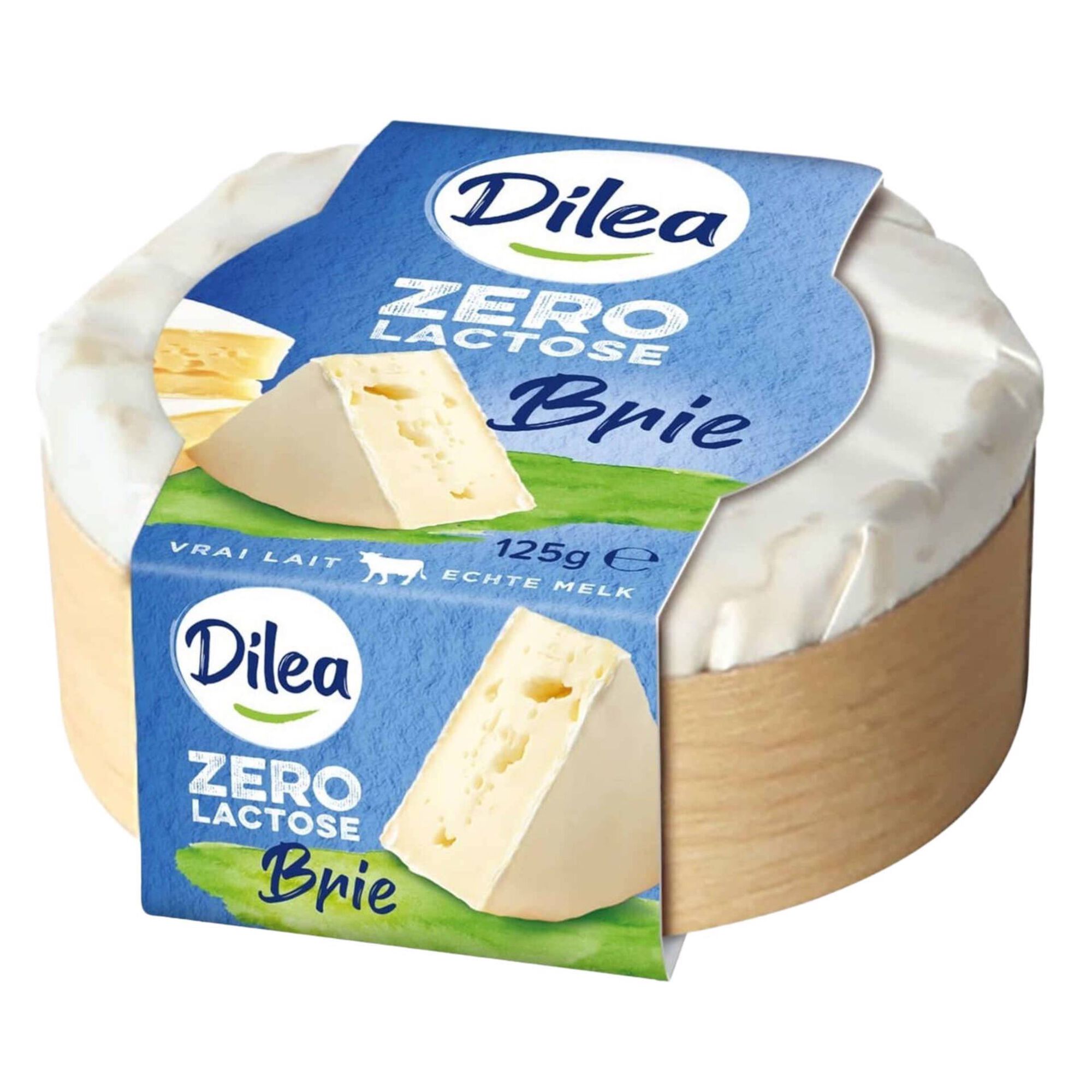 Queijo Brie sem Lactose