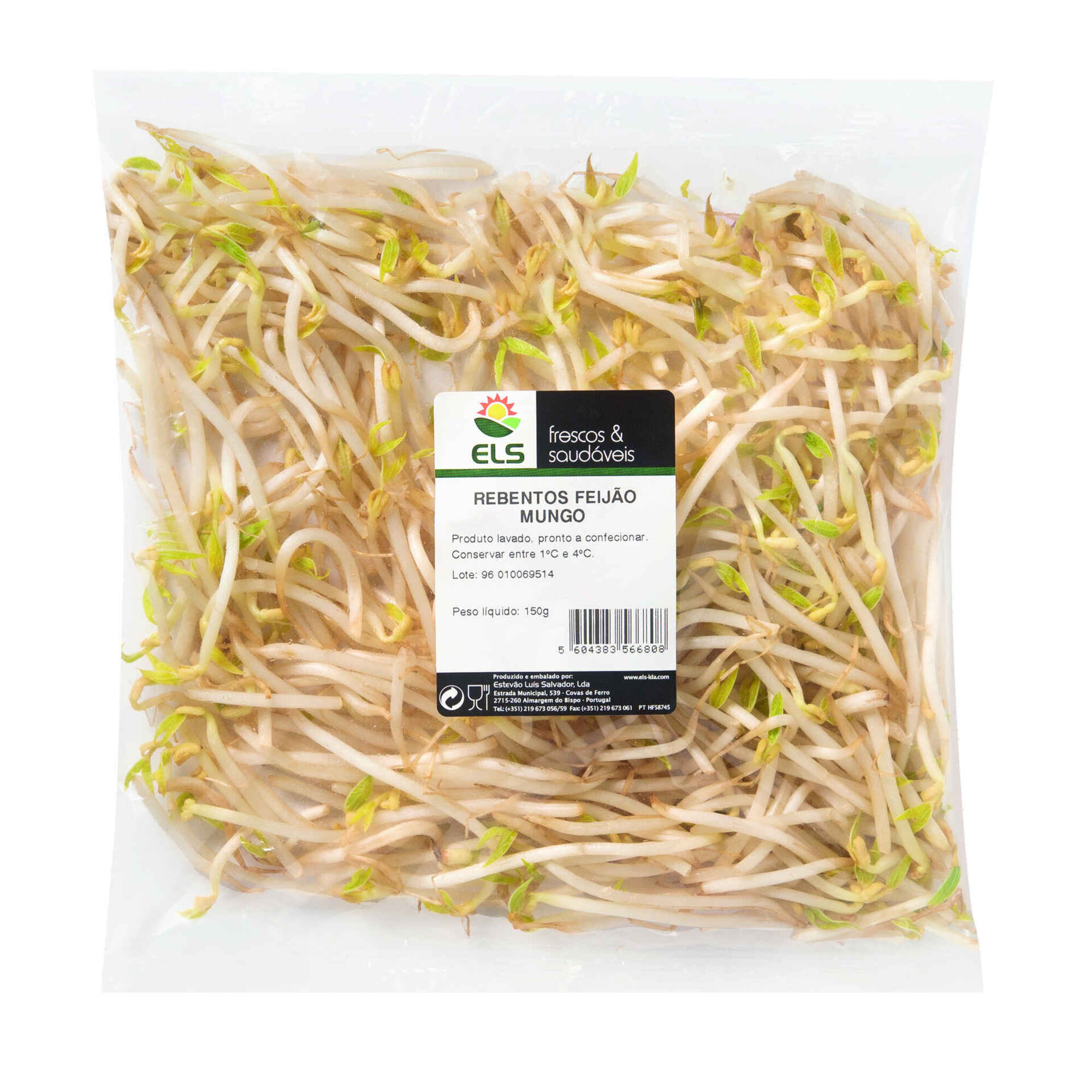 Rebentos de Feij&atilde;o