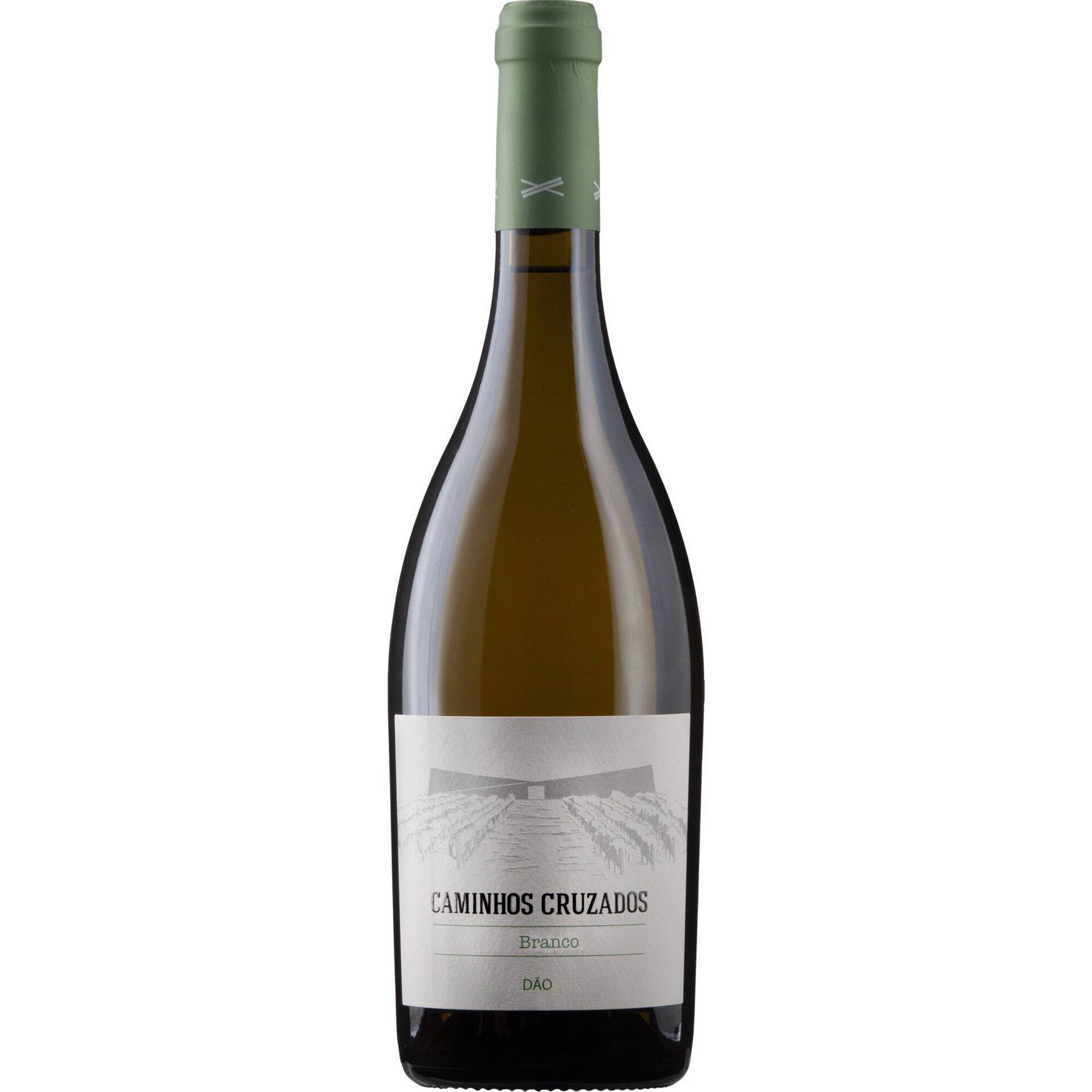 Caminhos Cruzados Colheita DOC Dão Vinho Branco
