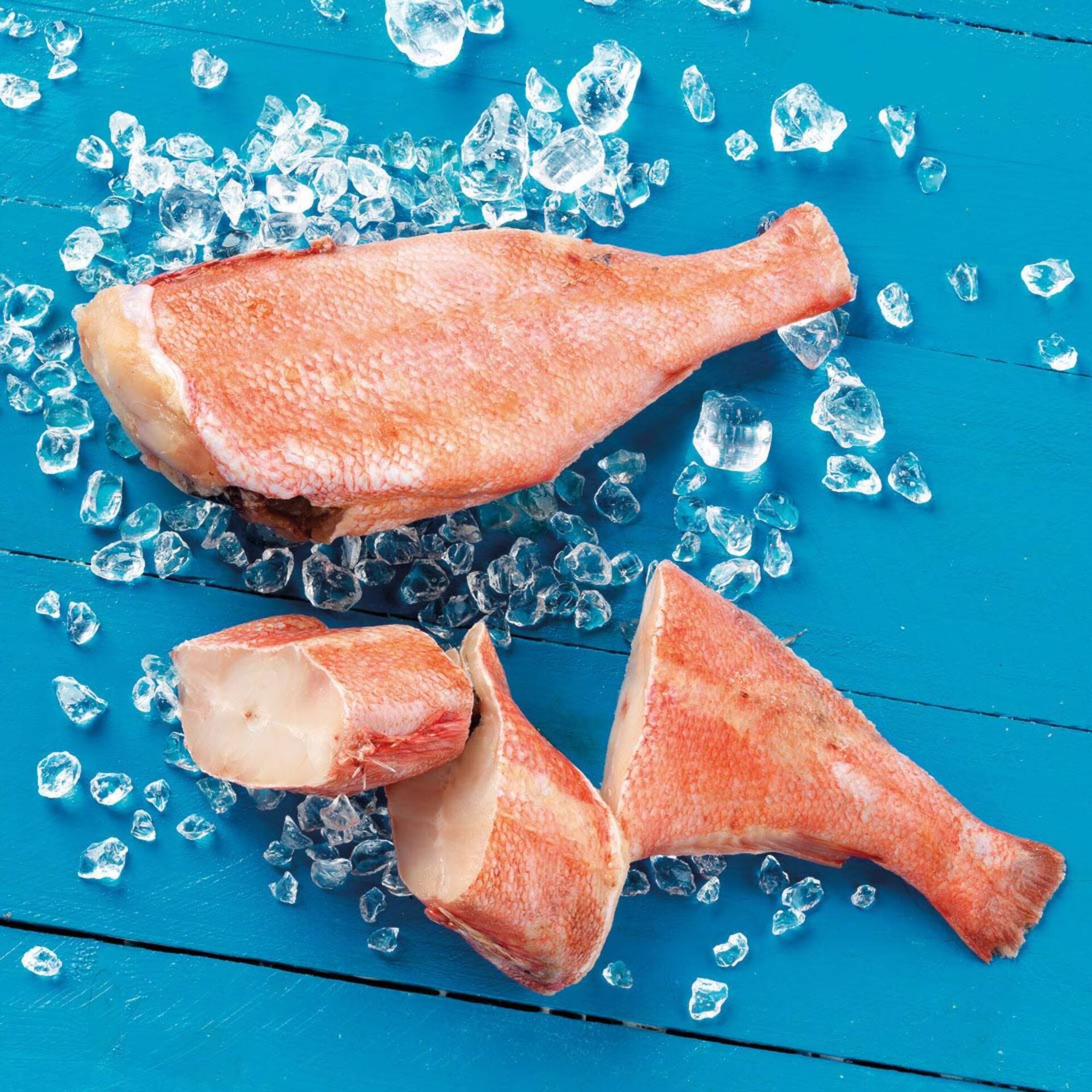 Red Fish Cal 500/700 Congelado Red Fish Cal 500/700 Congelado