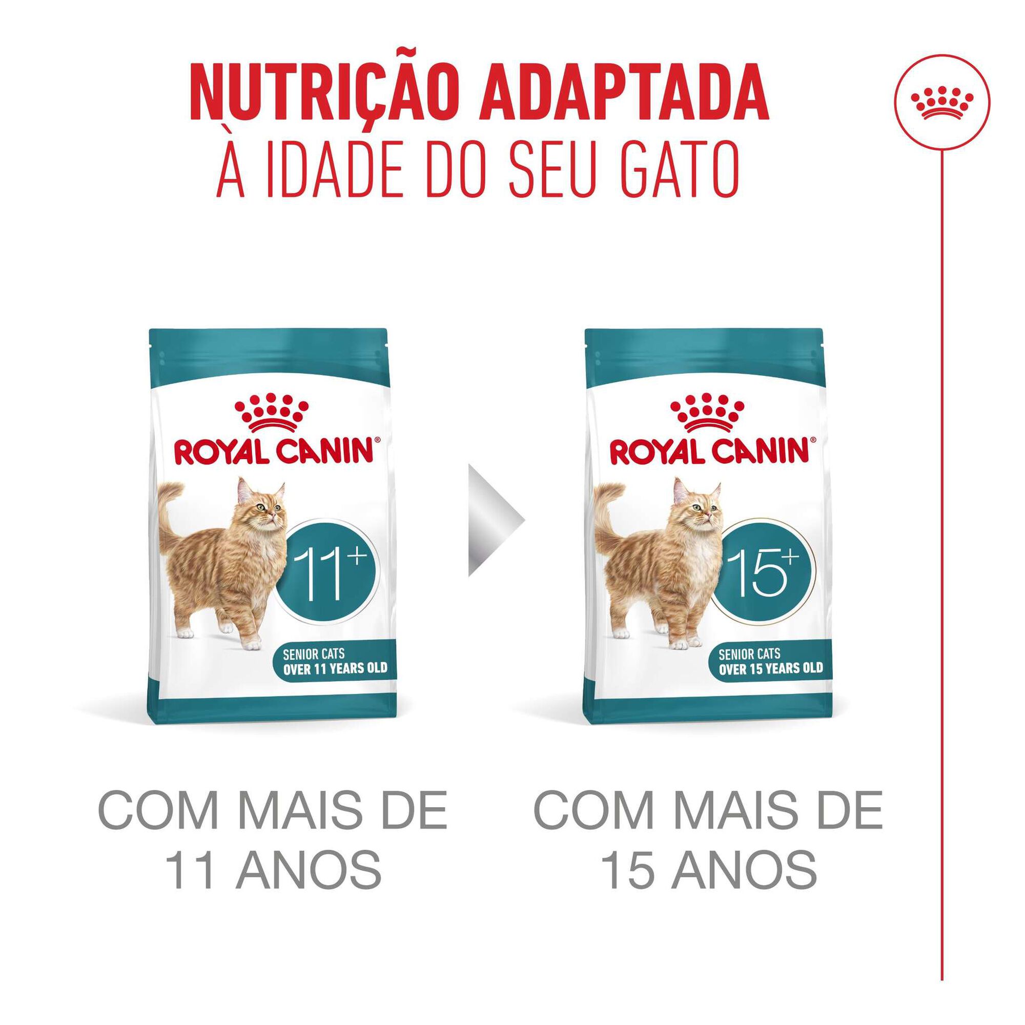 Ra&ccedil;&atilde;o para Gato S&eacute;nior Ageing+11 Royal Canin