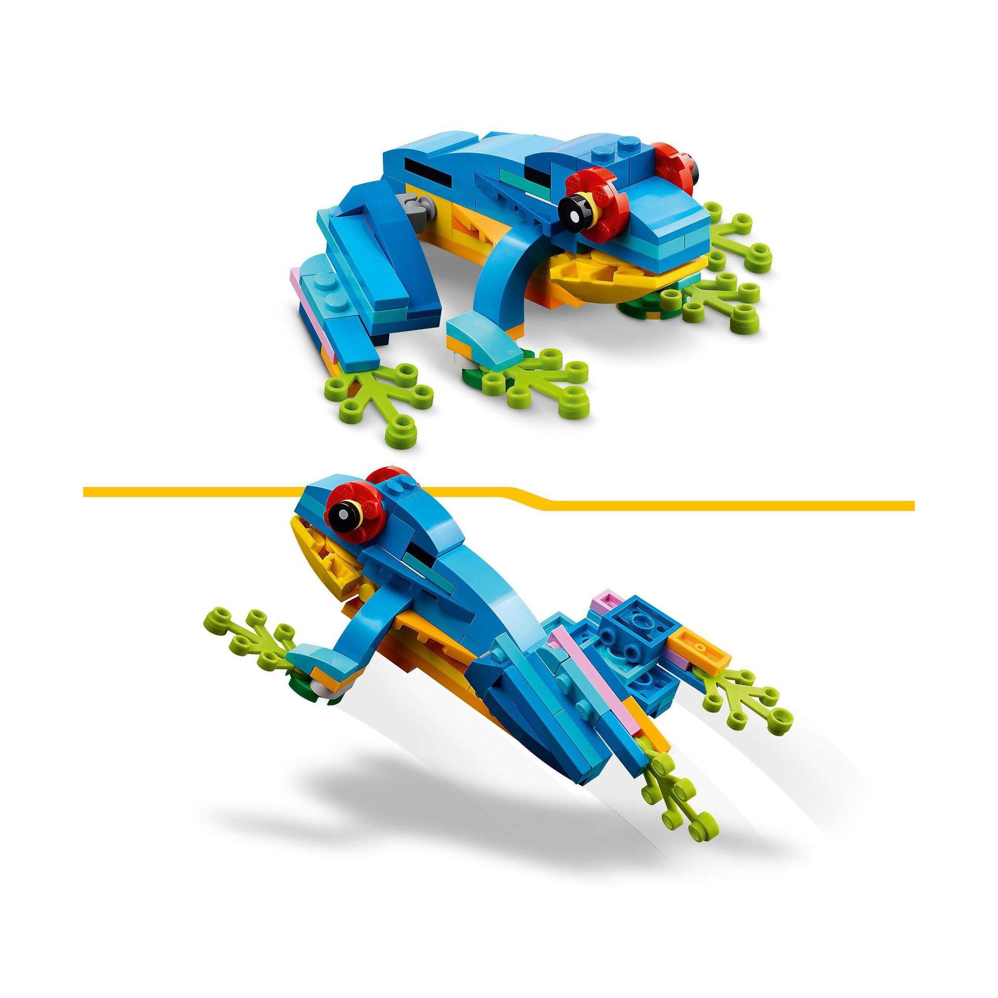 Papagaio Exótico - 31136 Papagaio Exótico - 31136