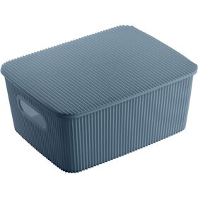 Caixa Arruma&ccedil;&atilde;o com Tampa Azul 10L Kasa