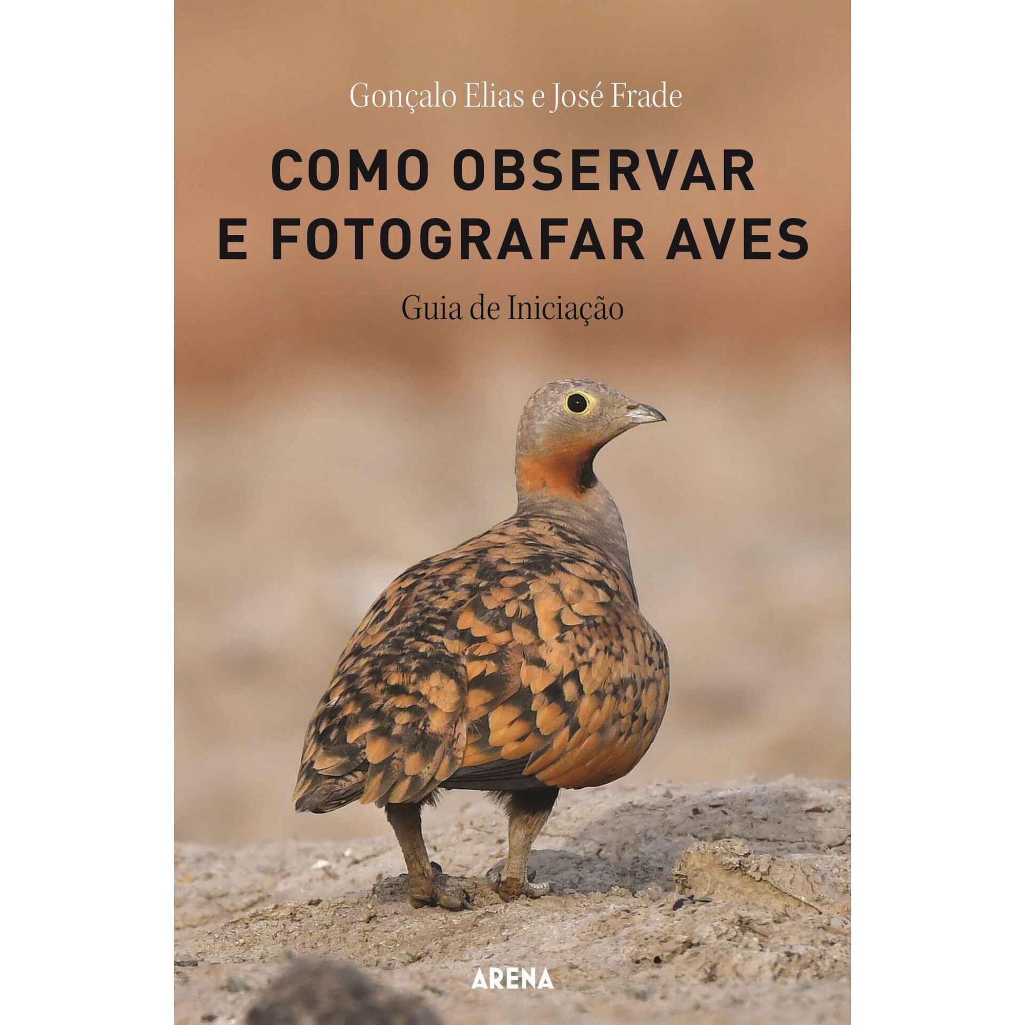 Como Observar e Fotografar Aves