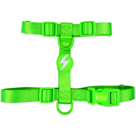 Arn&ecirc;s para C&atilde;o Verde Neon L Dashi