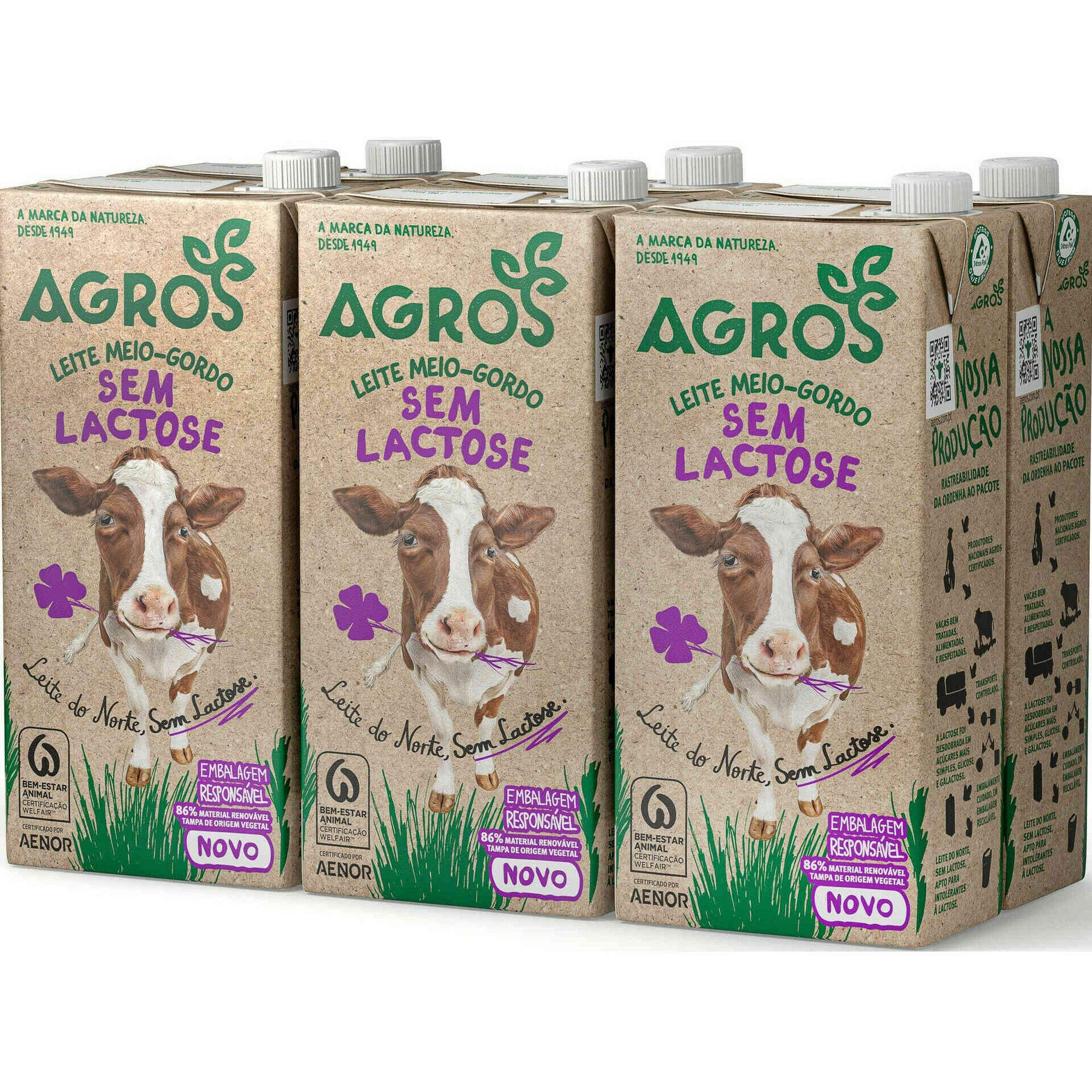 Leite Meio Gordo sem Lactose Agros