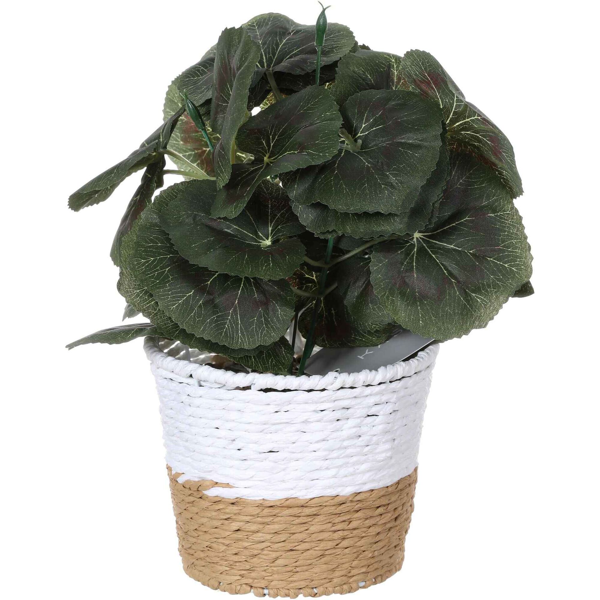 Planta Artificial com Vaso Palha 13x20cm Kasa