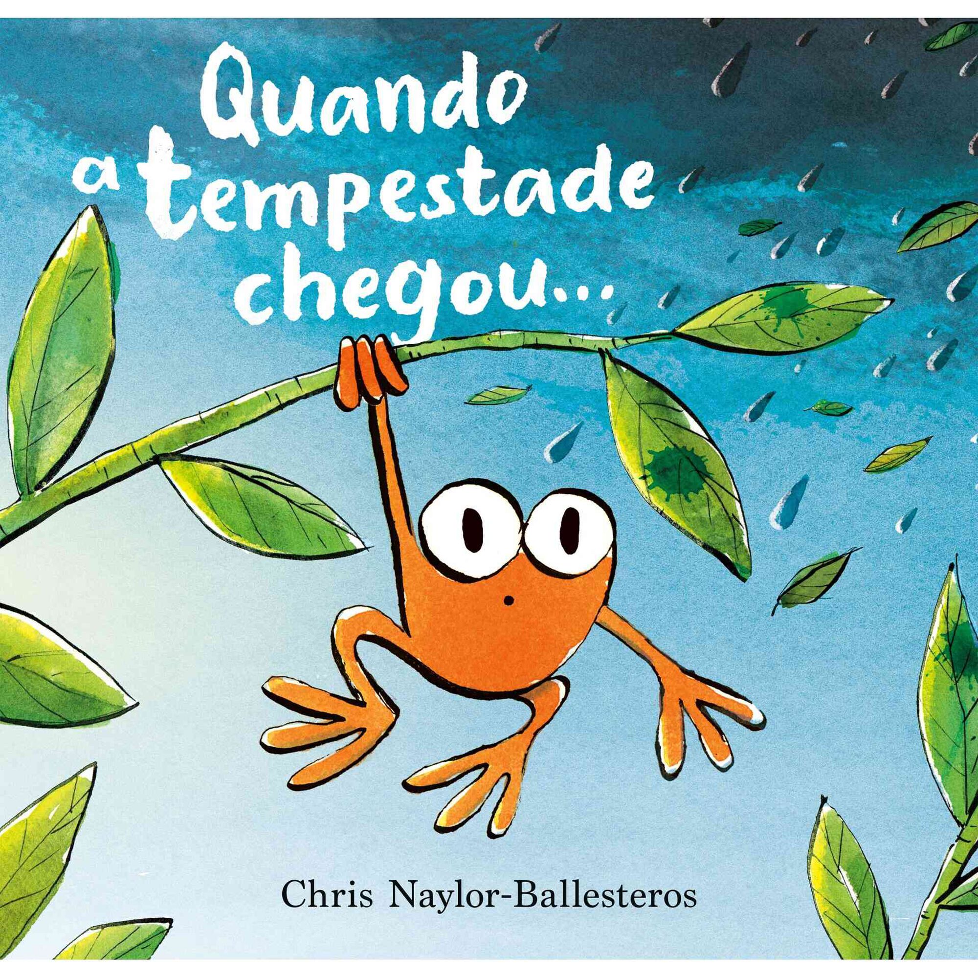Quando a Tempestade Chegou…