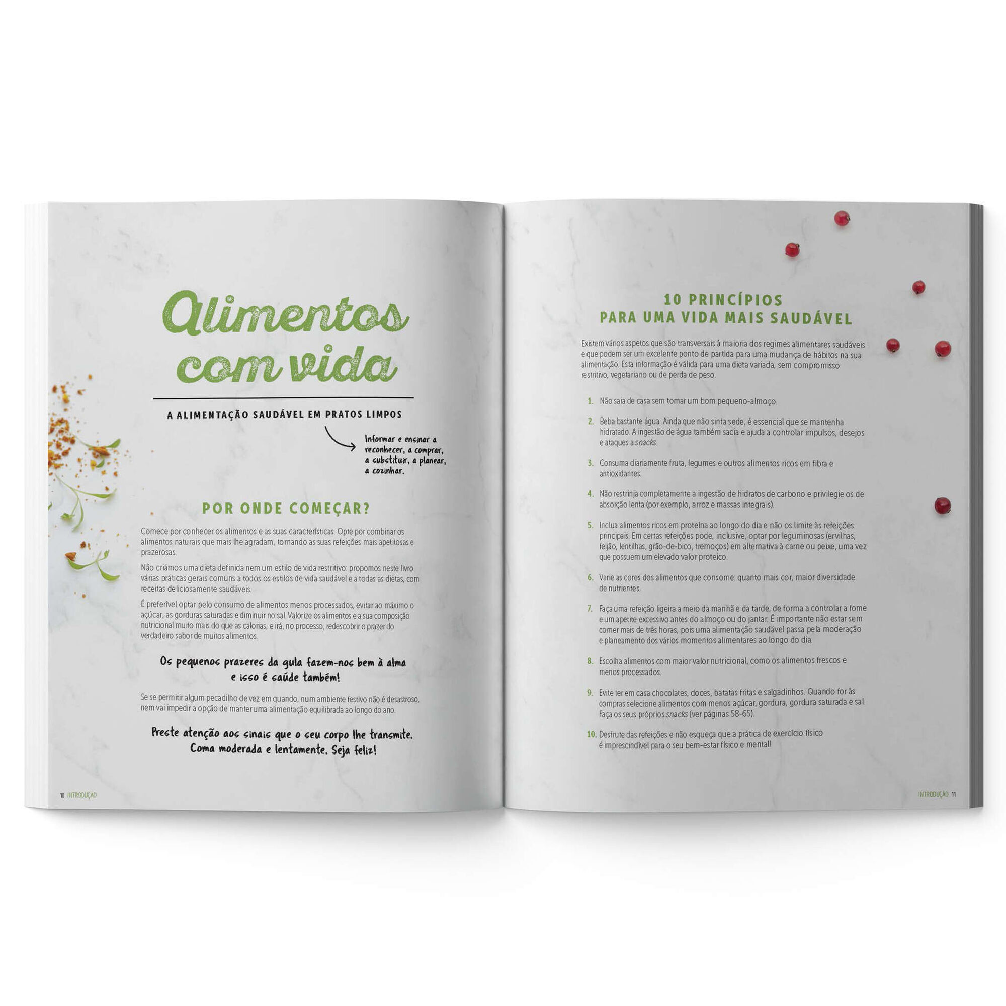 A Vida &eacute; Y&auml;mmi