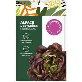 Sementes Hort&iacute;colas Alface Maravilha 4 Esta&ccedil;&otilde;es