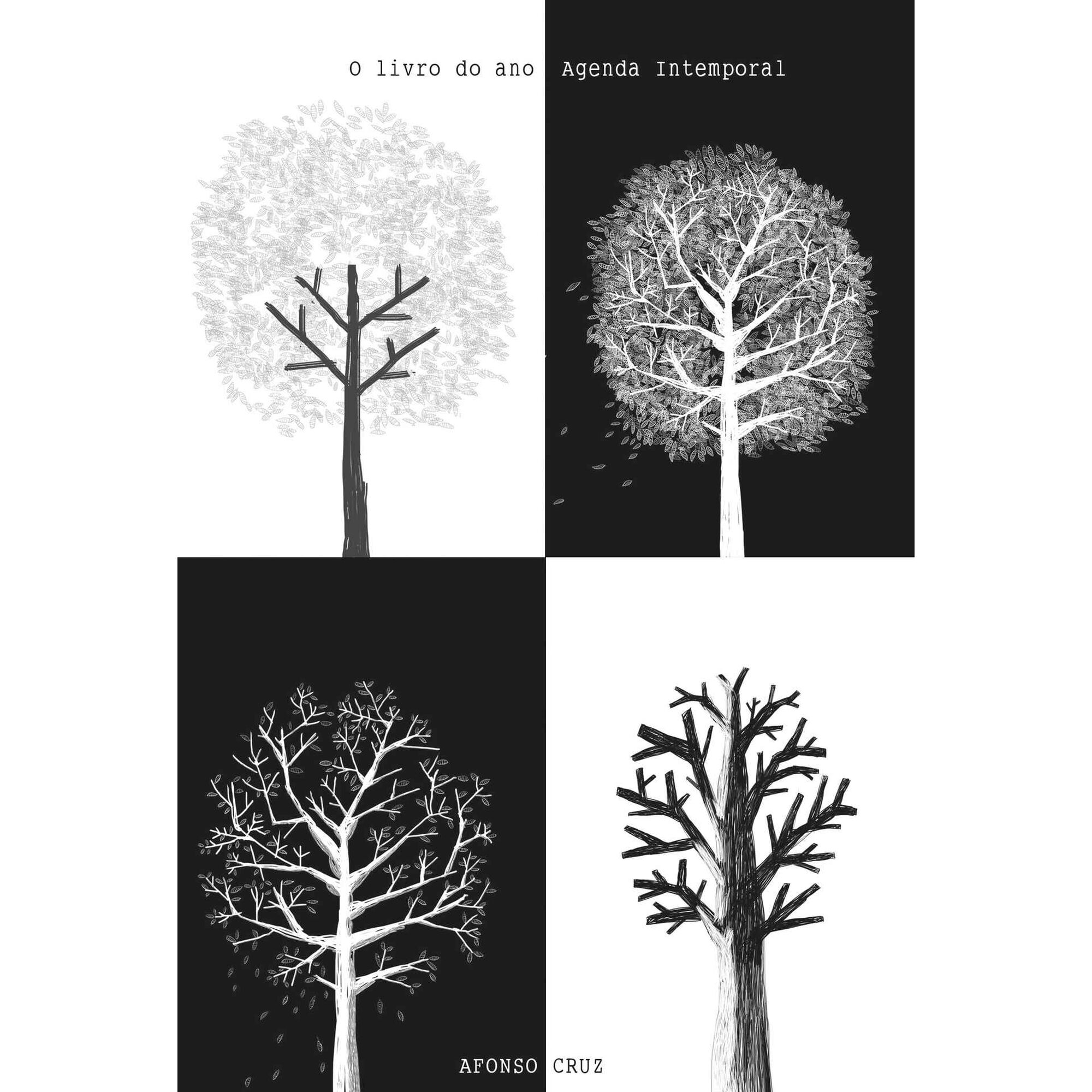 O Livro do Ano Agenda Intemporal de Afonso Cruz