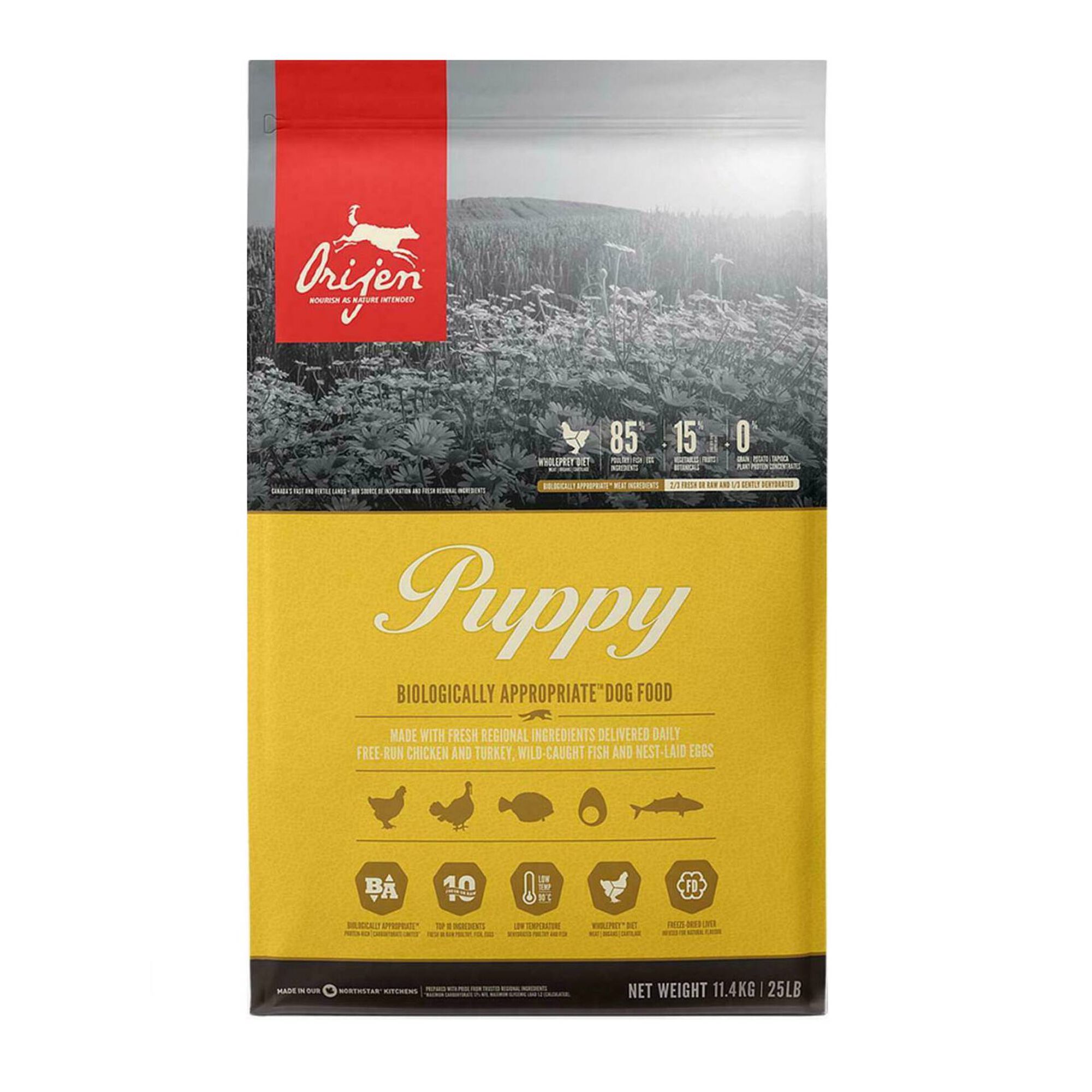 Ração para Cão Júnior Dry Ração para Cão Júnior Dry