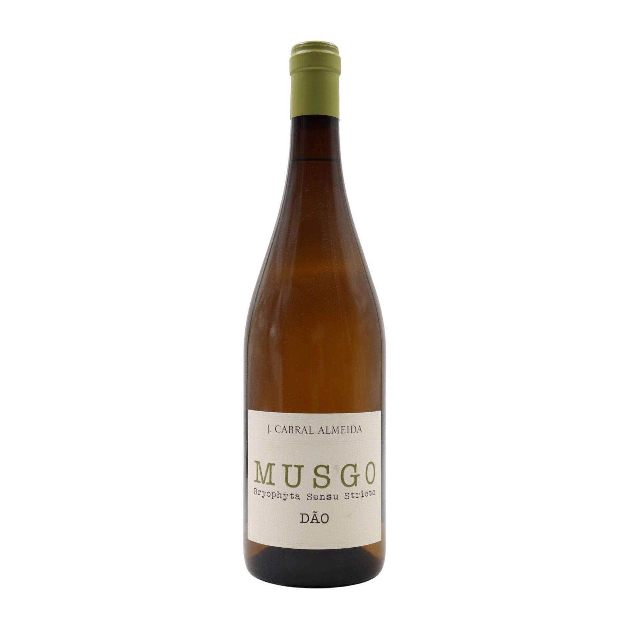 Musgo D&atilde;o Vinho Branco
