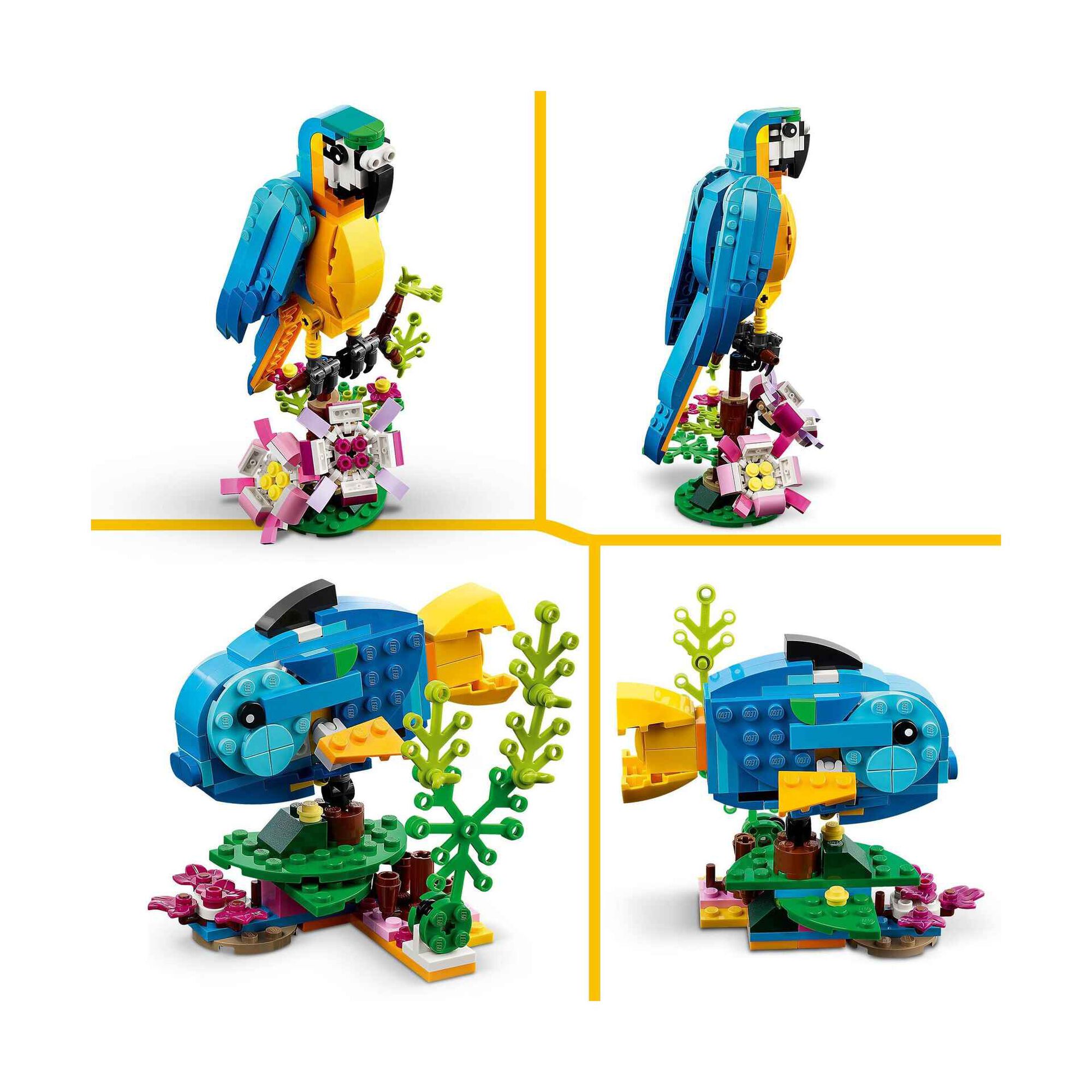 Papagaio Exótico - 31136 Papagaio Exótico - 31136