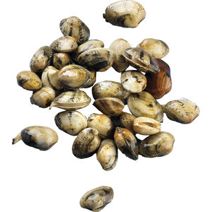 Amêijoa Macha Fresca