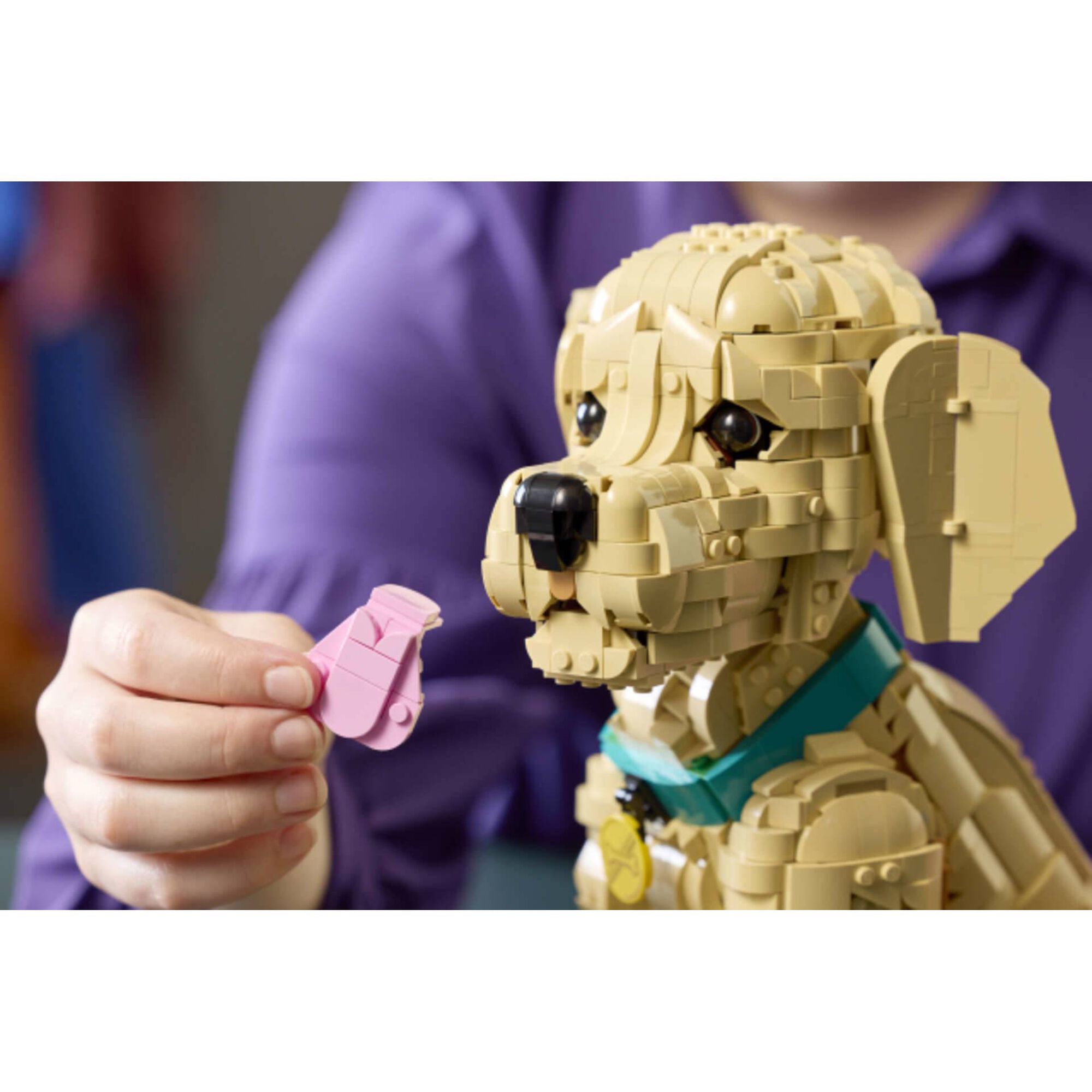 LEGO Icons - Cachorrinho Golden Retriever - 11384