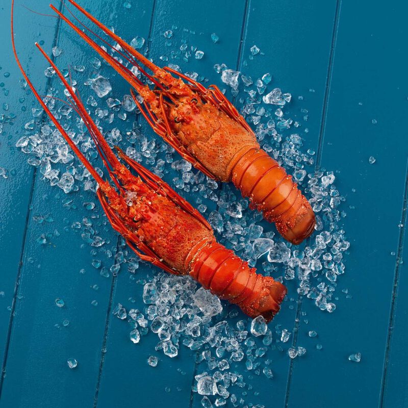 Lagosta Cozida Fresca