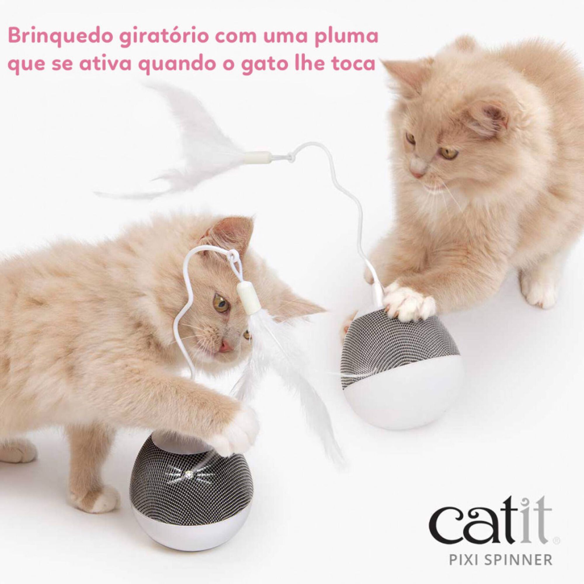 Brinquedo para Gato Pixi Spinner Catit