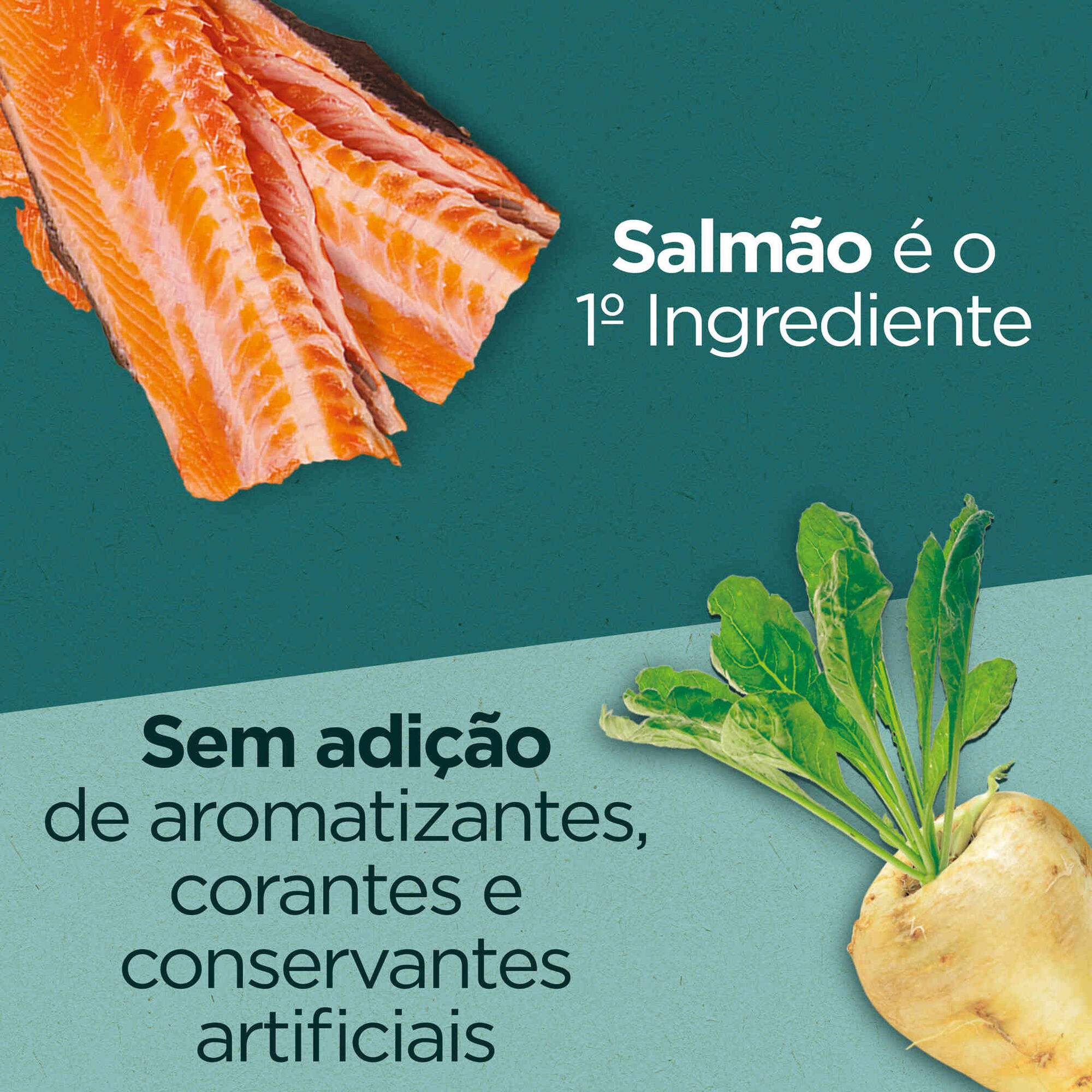 Ração para Gato Adulto Esterilizado Salmão