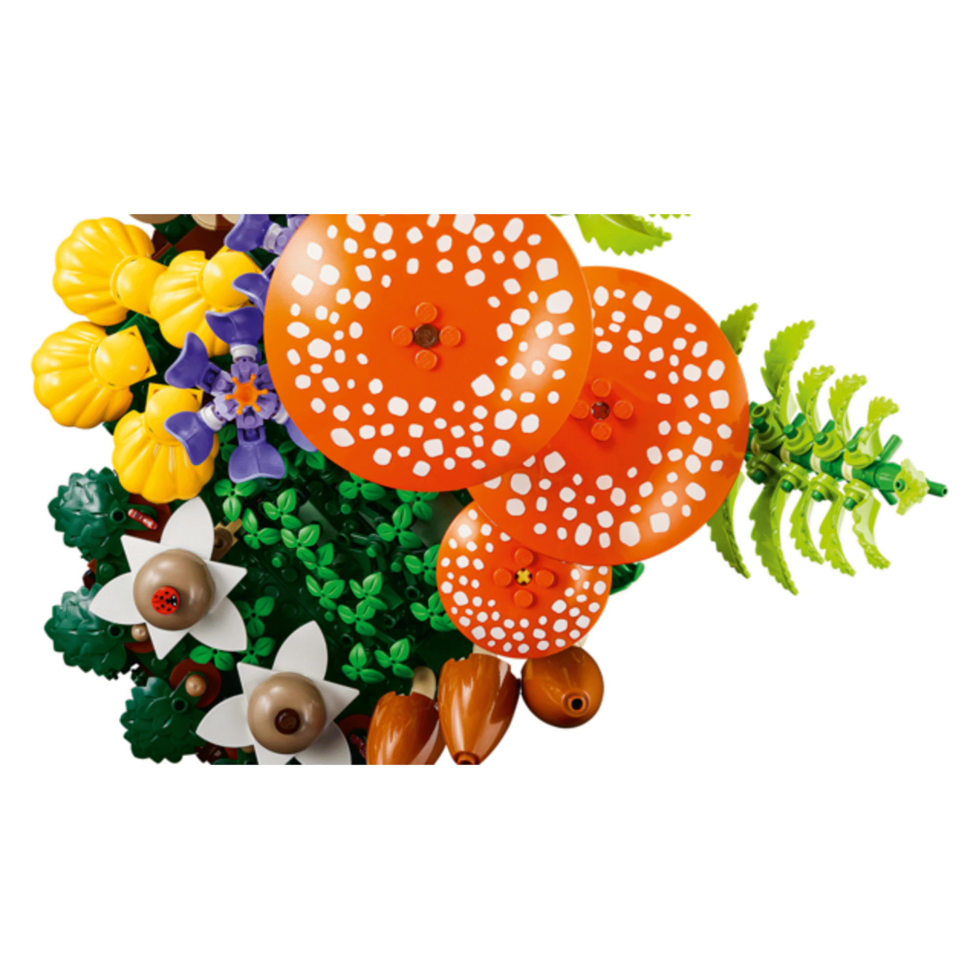 LEGO Botanicals - Cogumelos Silvestres - 11505