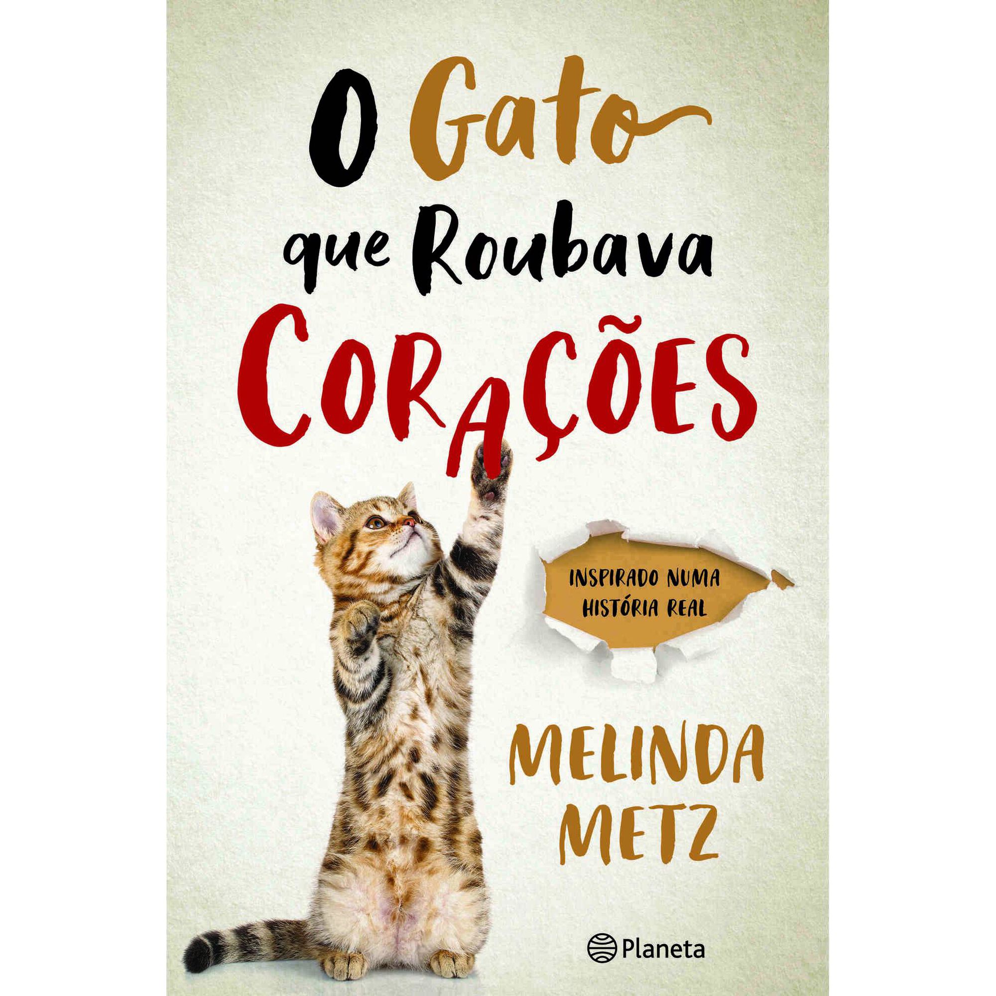 O Gato que Roubava Cora&ccedil;&otilde;es de Melinda Metz
