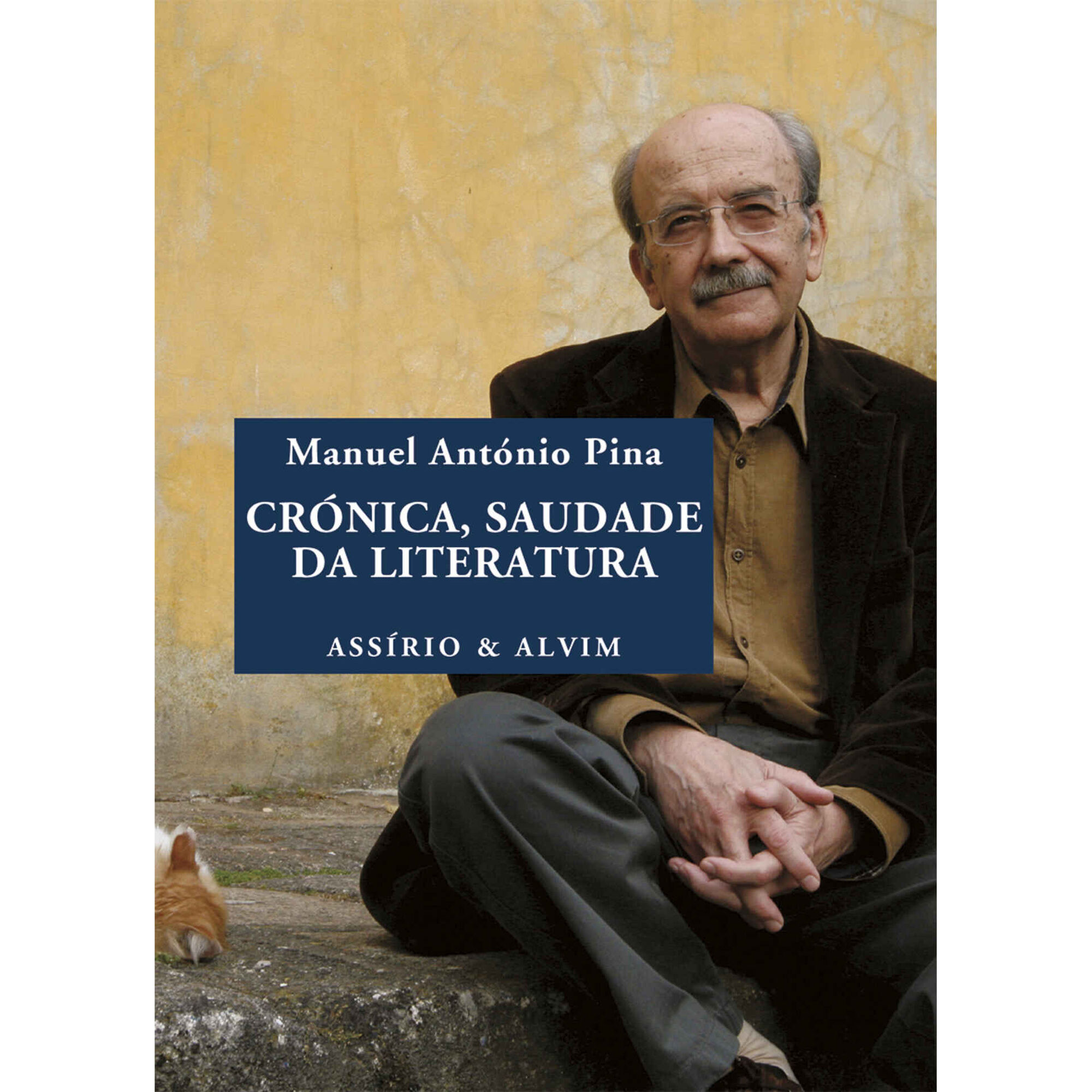 Cr&oacute;nica, Saudade da Literatura