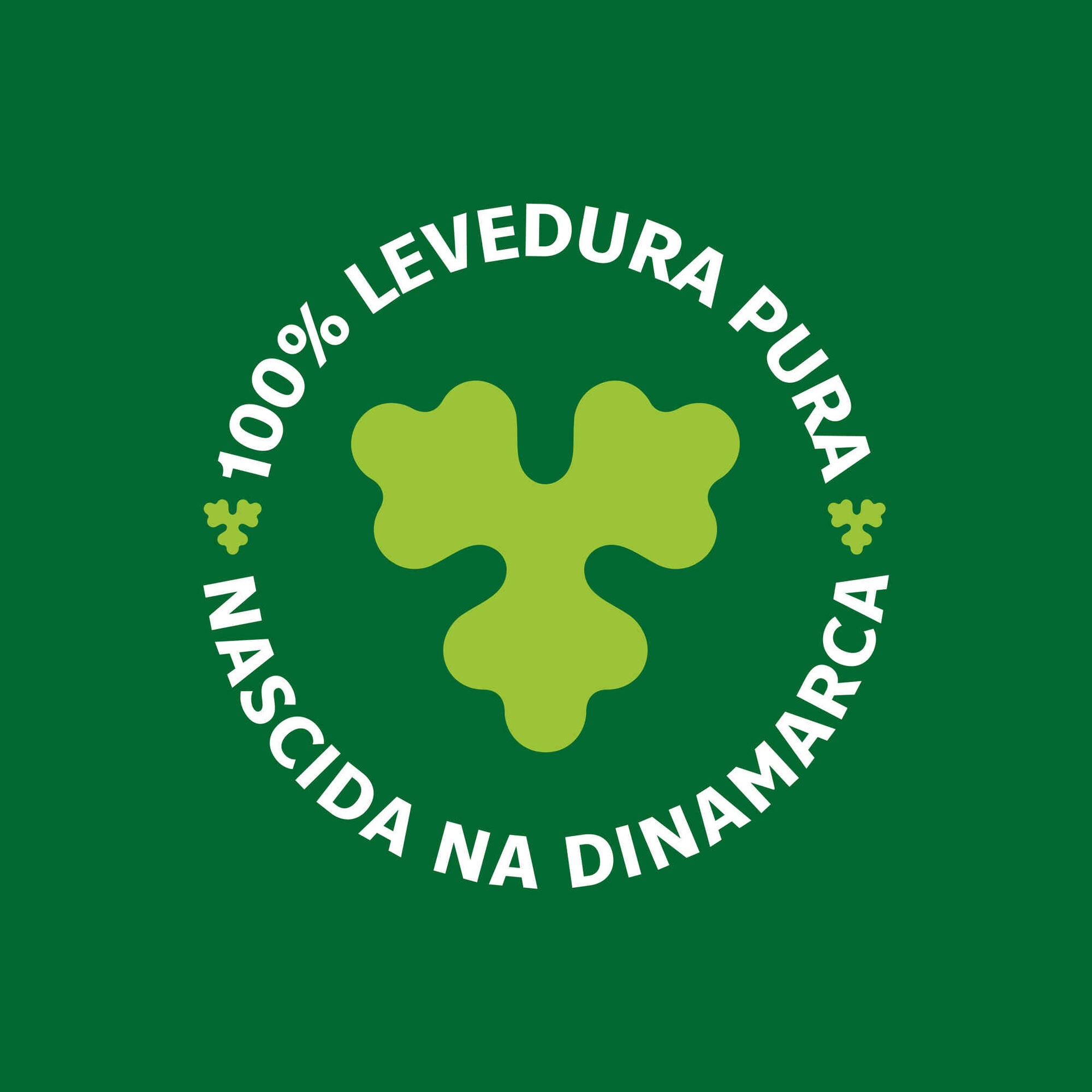 Cerveja com Álcool Cerveja com Álcool
