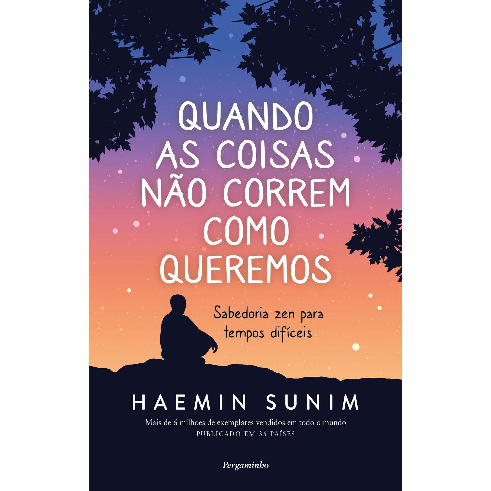 Quando as Coisas não Correm como Queremos Quando as Coisas não Correm como Queremos