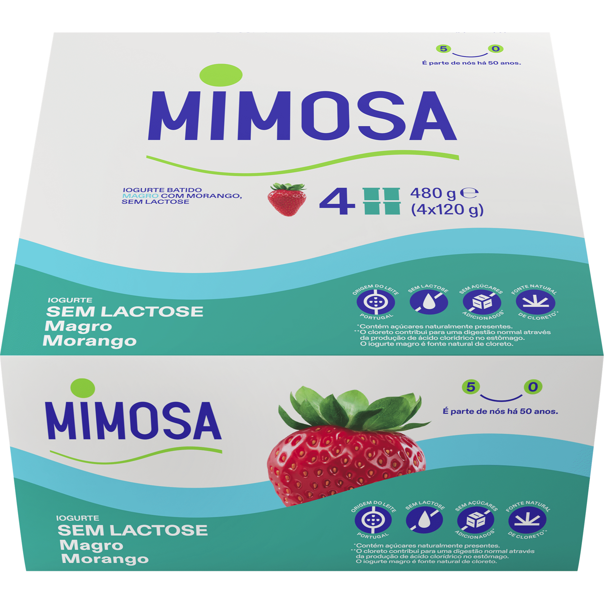 Iogurte Magro Morango sem Lactose Iogurte Magro Morango sem Lactose