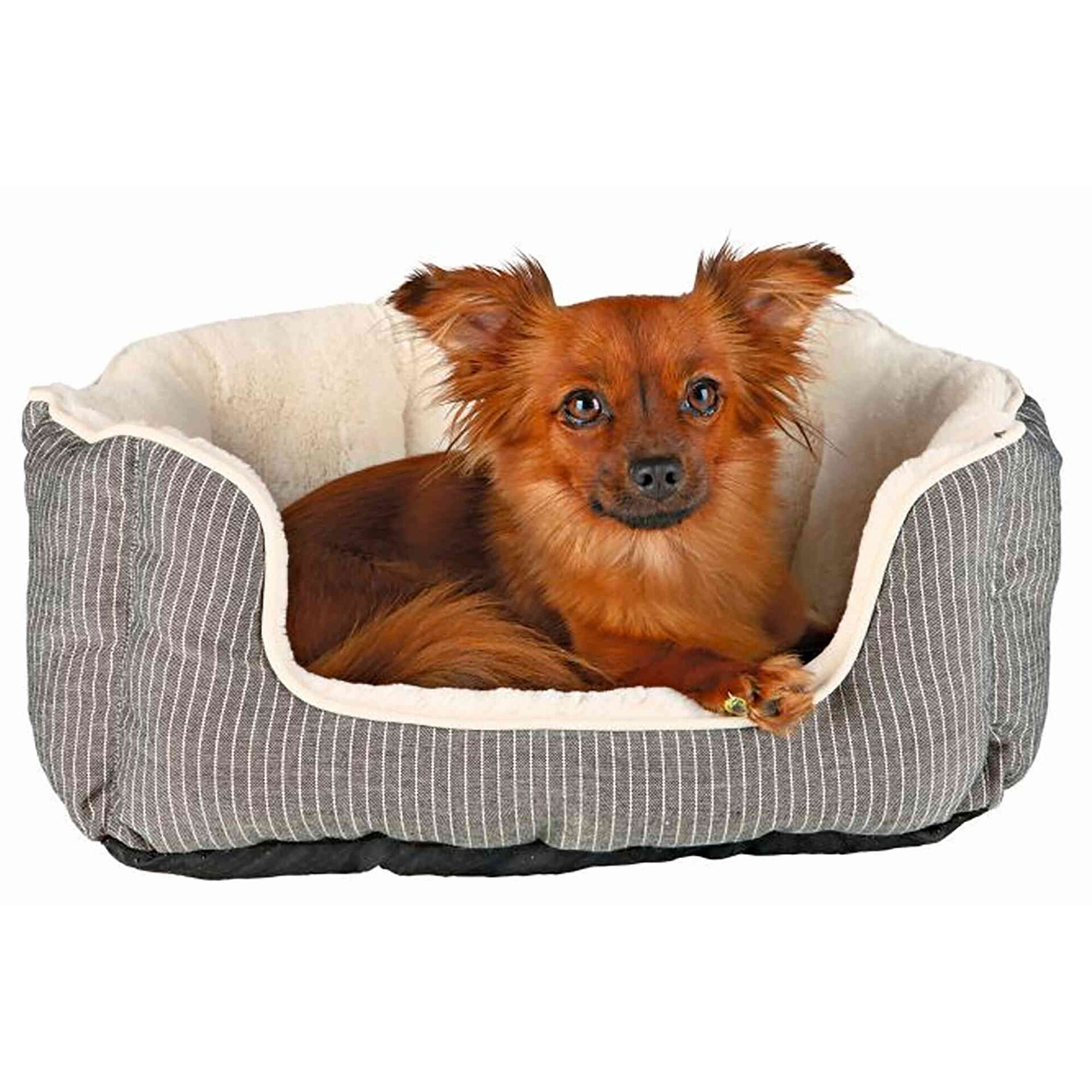 Cama Davin Cinza e Creme 50x40cm Cama Davin Cinza e Creme 50x40cm