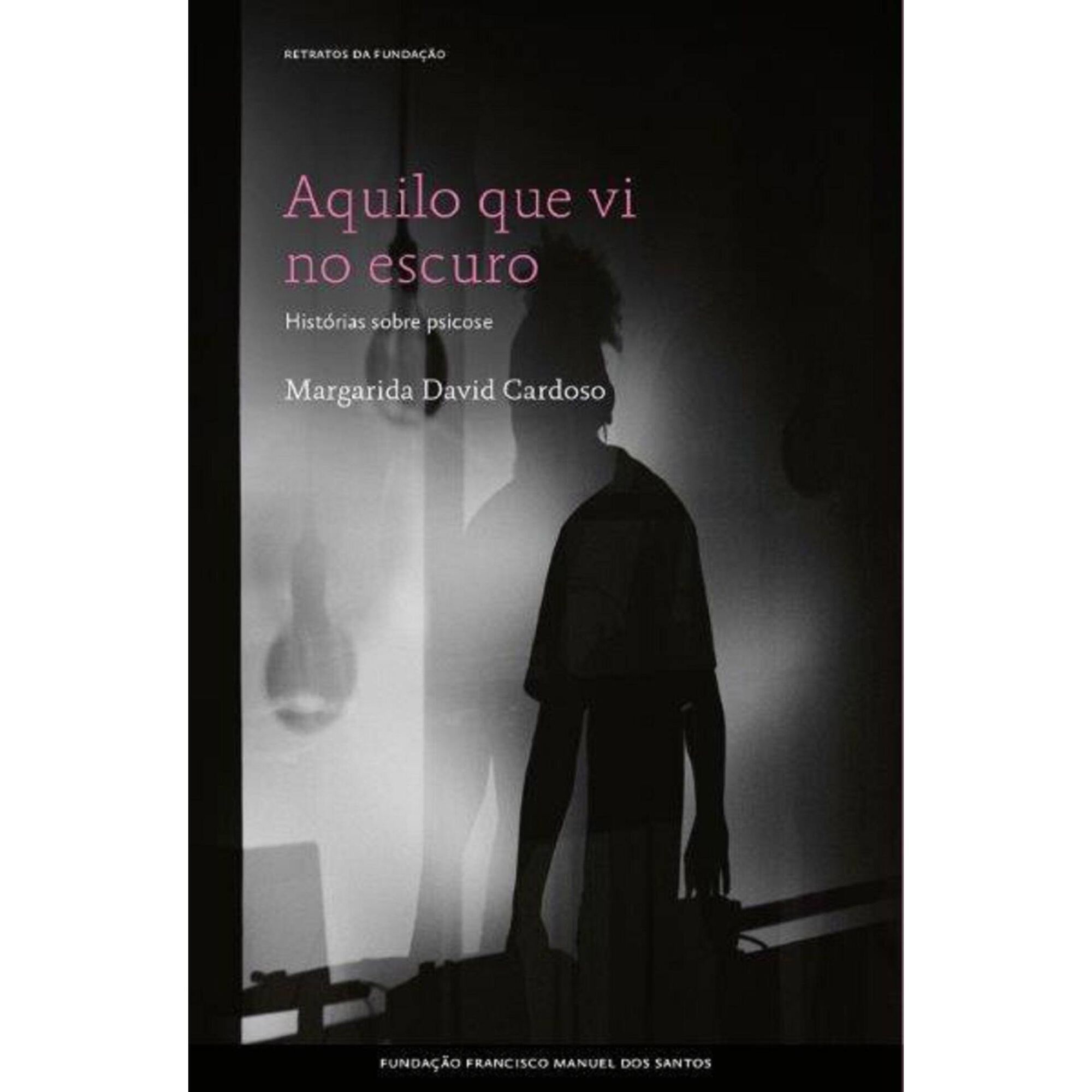 Aquilo que Vi no Escuro de Margarida David Cardoso