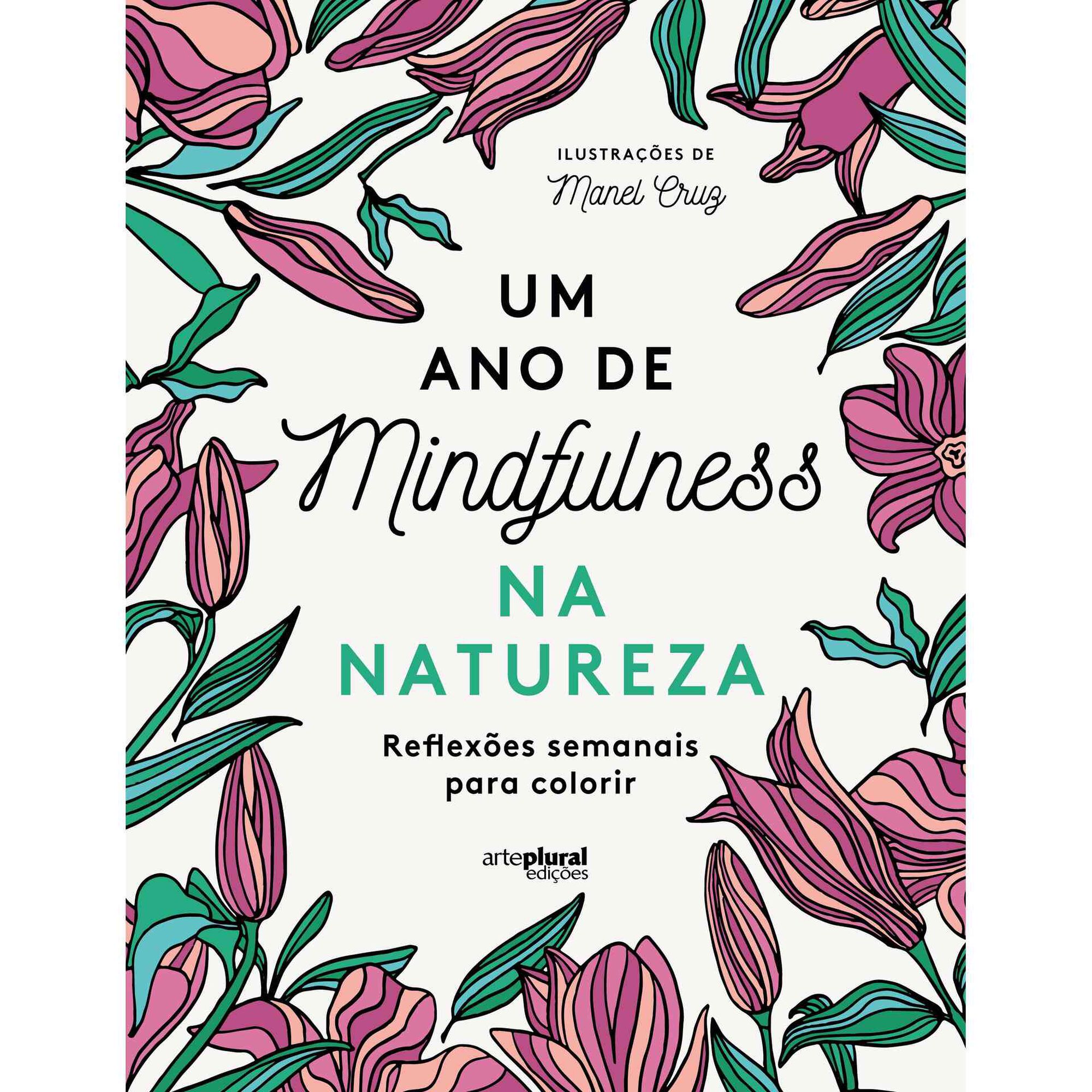 Um Ano de Mindfulness