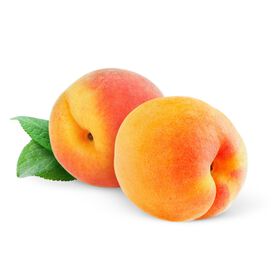 P&ecirc;ssego Cova da Beira Continente