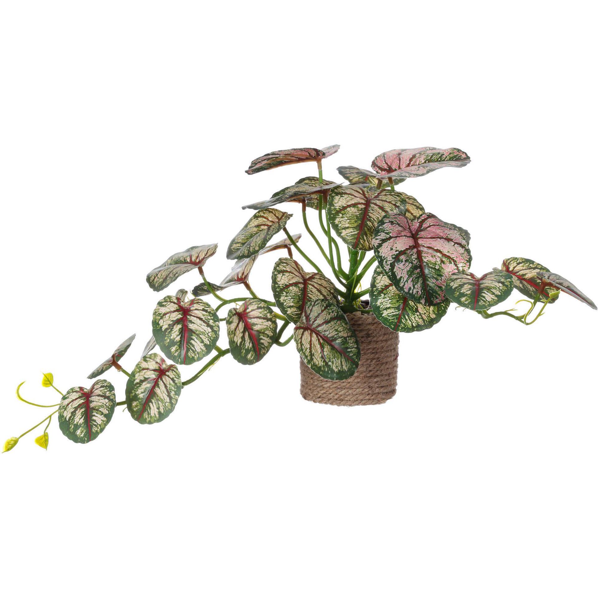 Planta Artificial com Vaso Corda 9x18cm Kasa