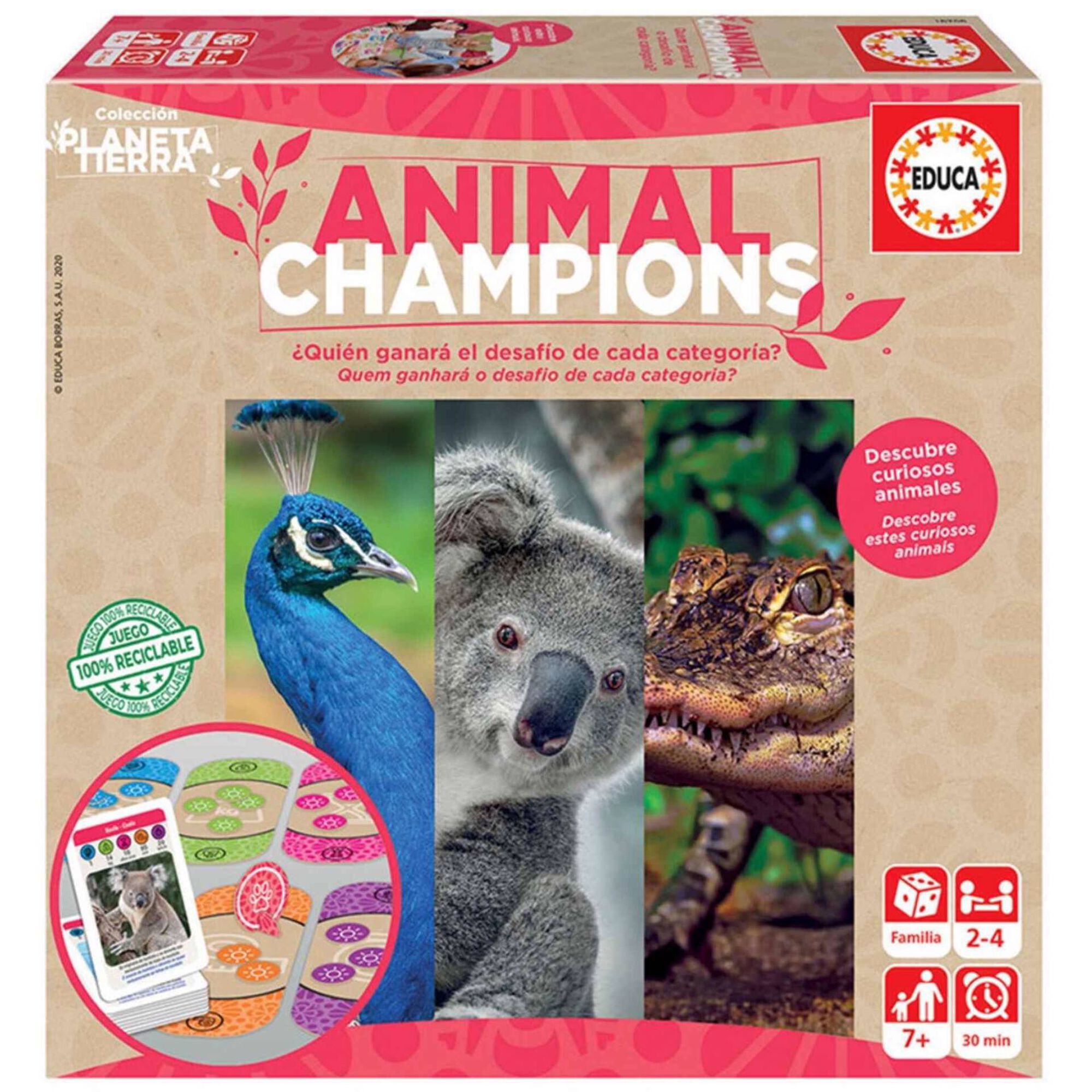 Animal Champions Animal Champions